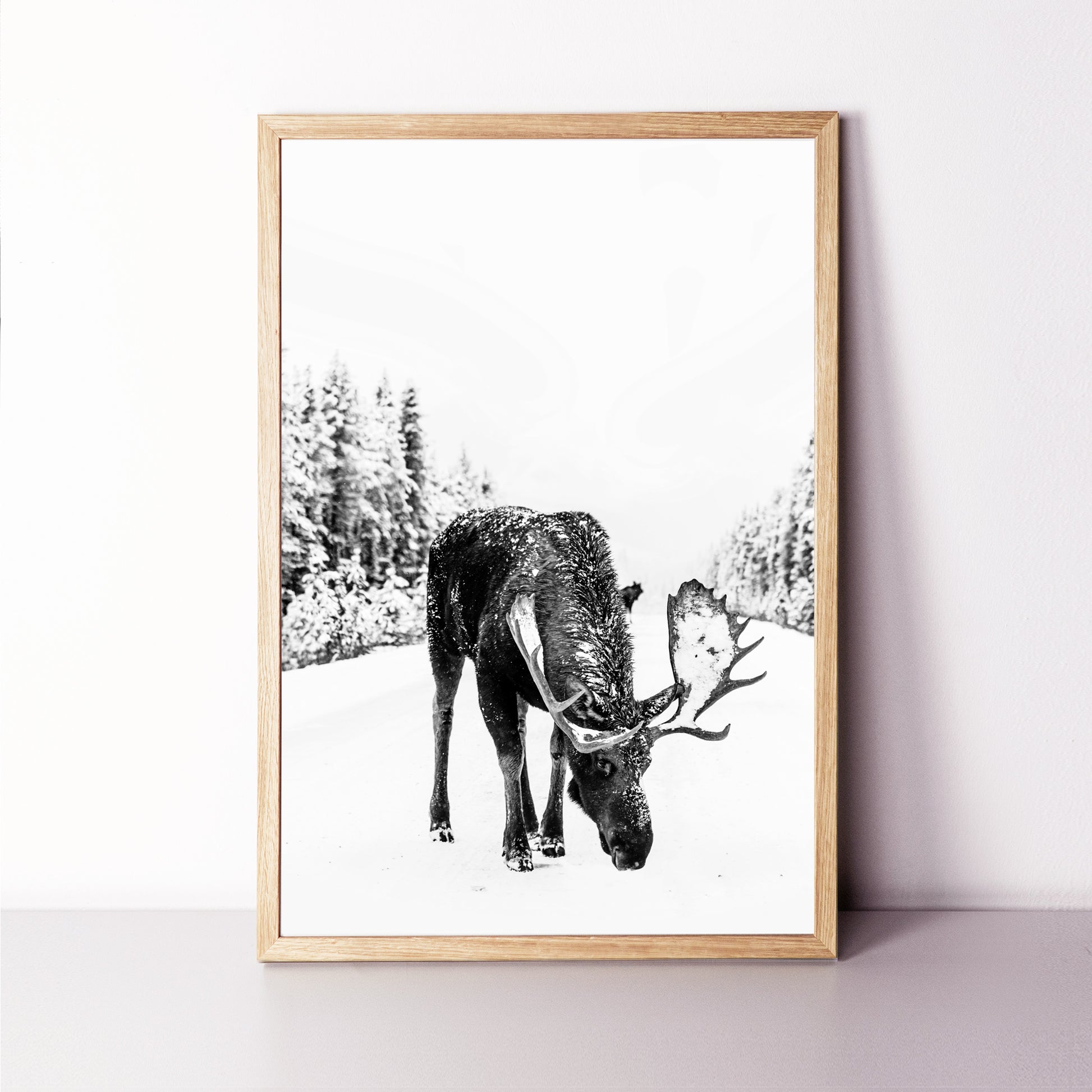 Elk wall art for Holidays decor.