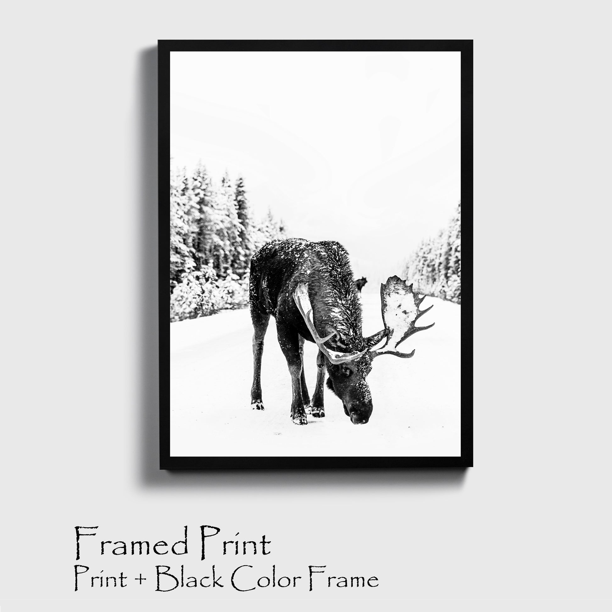 Elk wall art in black color frame.