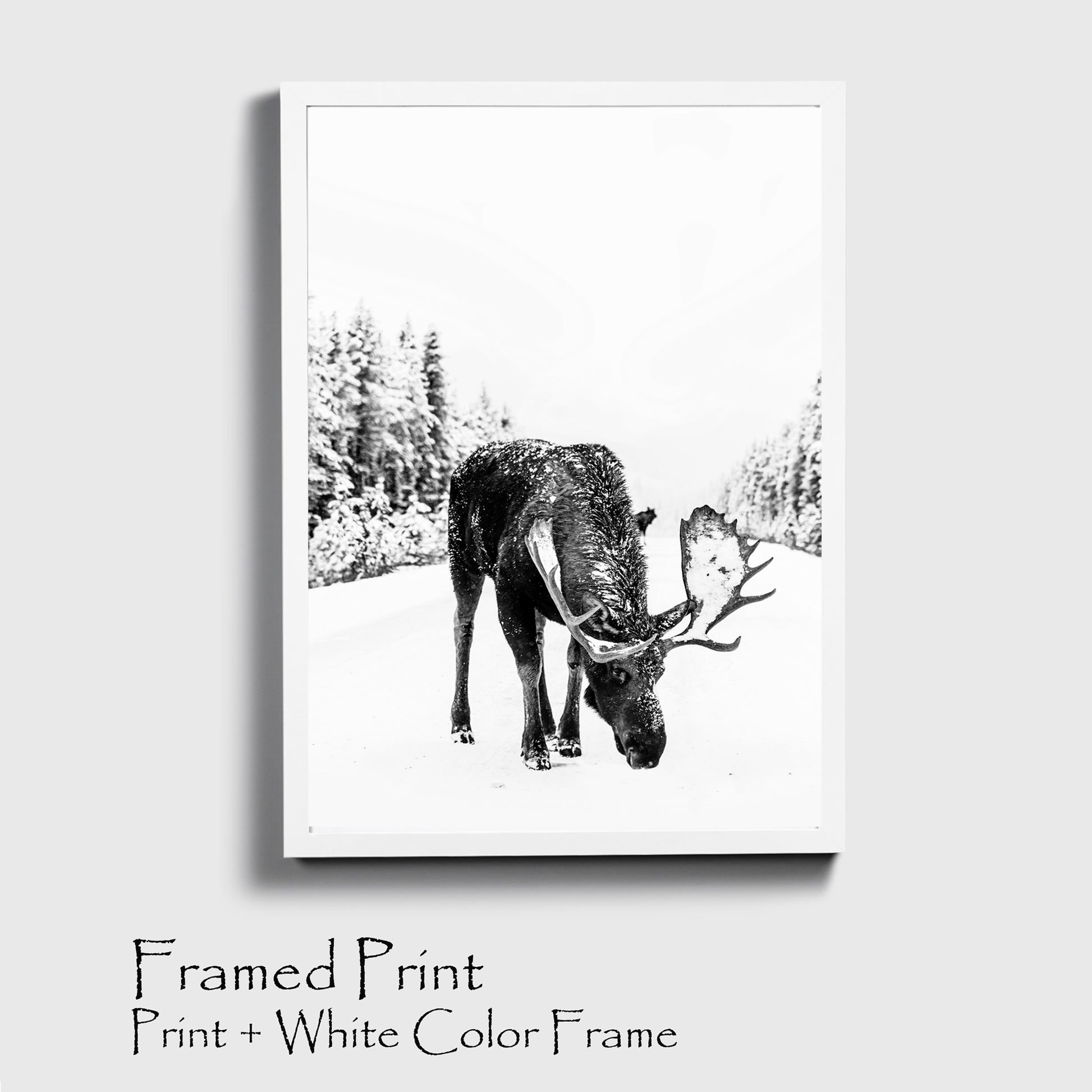 Elk wall art in white color frame.