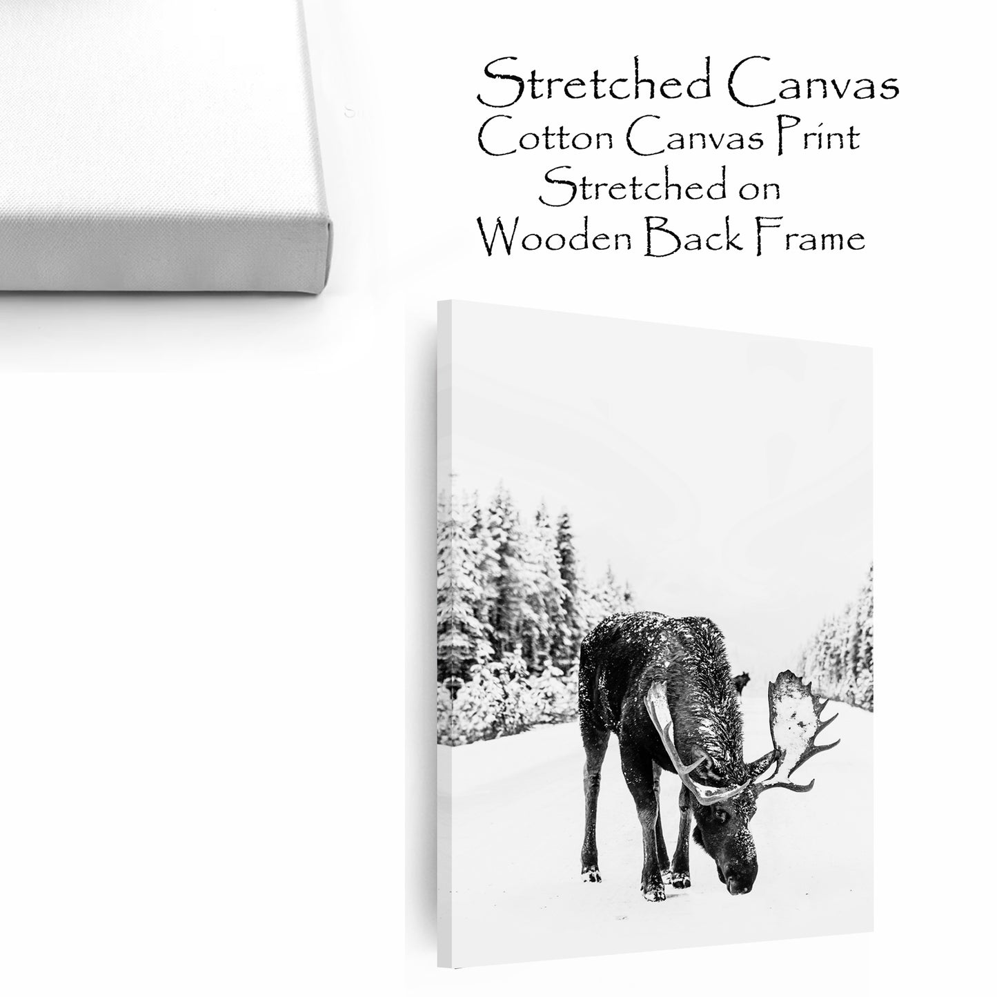 Elk stretched canvas wall art.