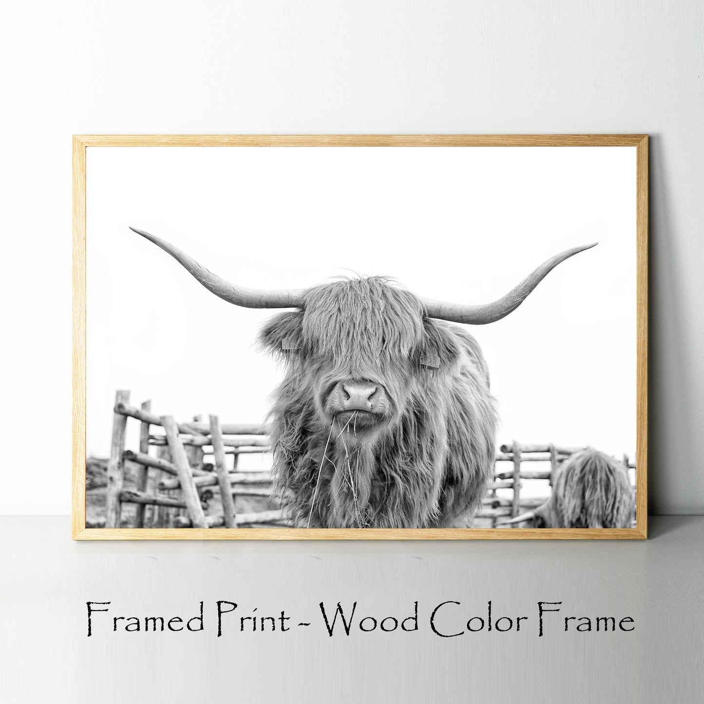 Shaggy cow chewing hay print in wood color frame.