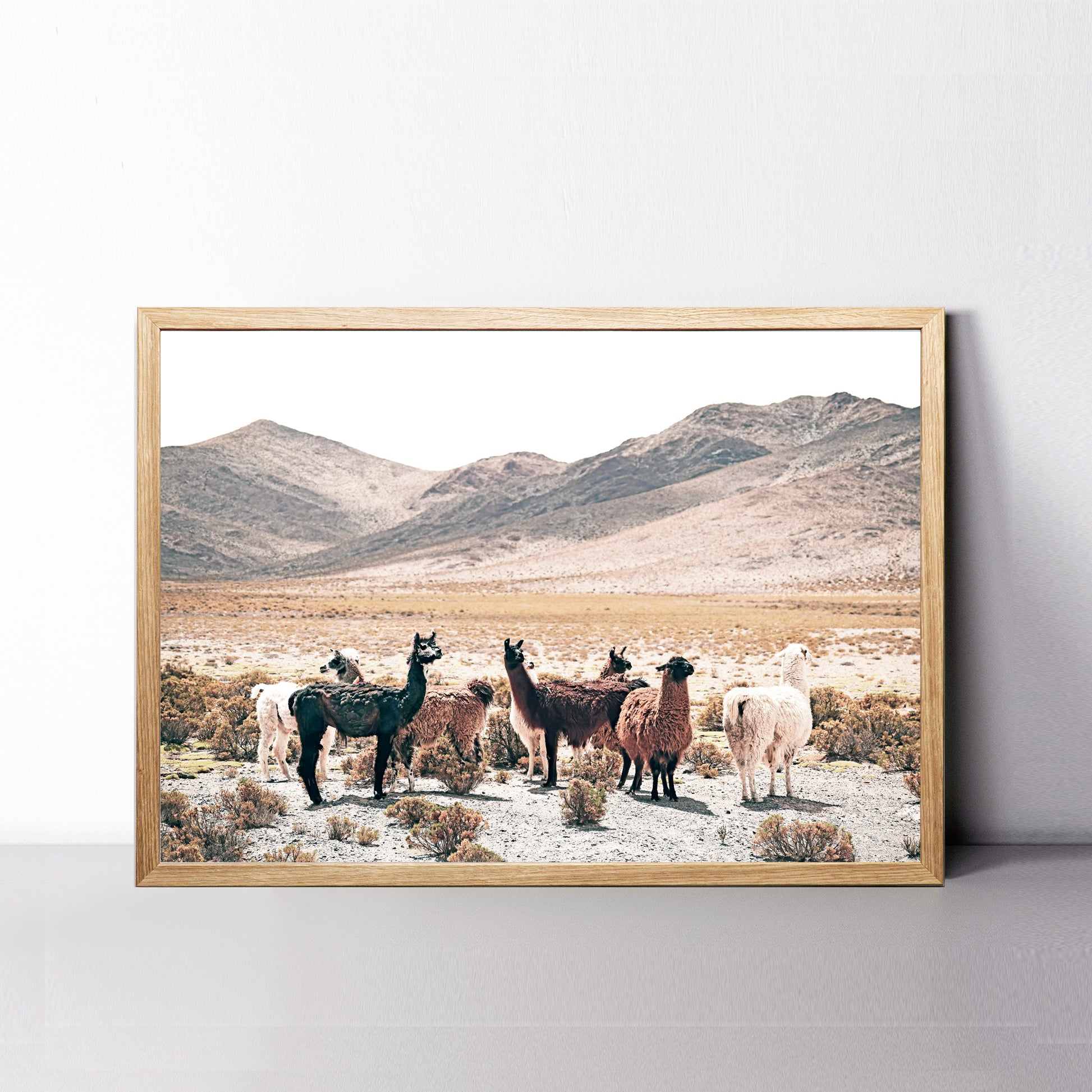 Mountain valley with Llamas wall art.