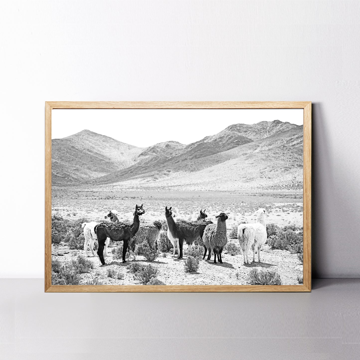 Alpaca in mountain valley print.