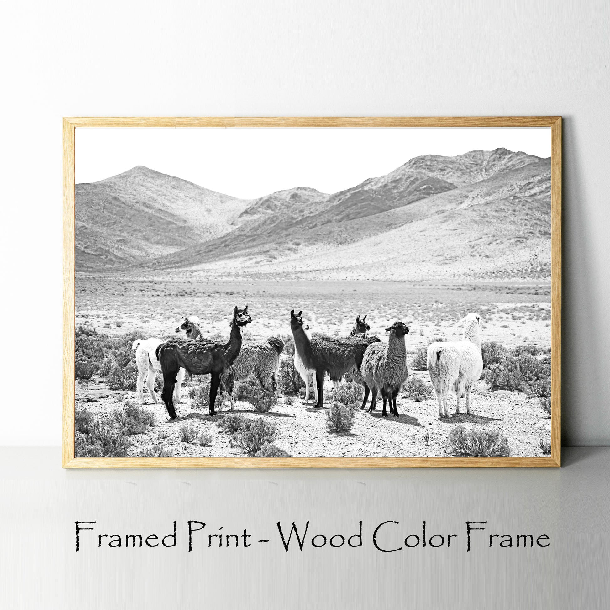 Llamas print in wood color frame.