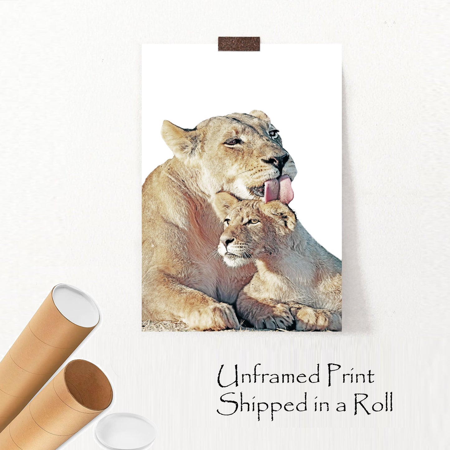 Lioness and lion cub unframed print.