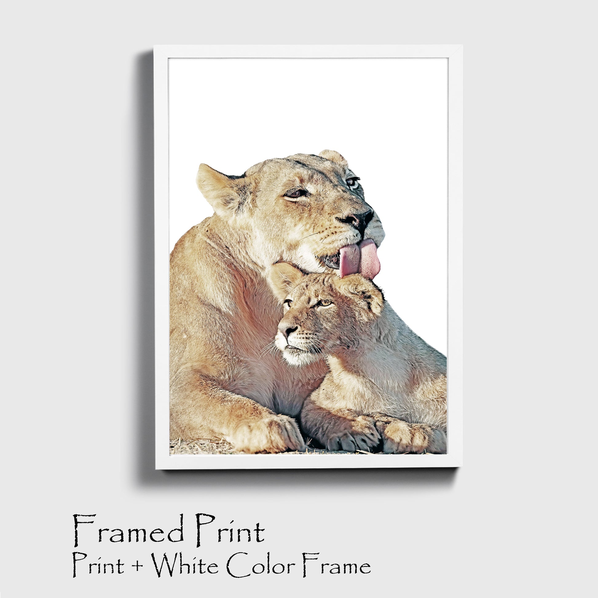 Lioness and lion cub print in white color frame.