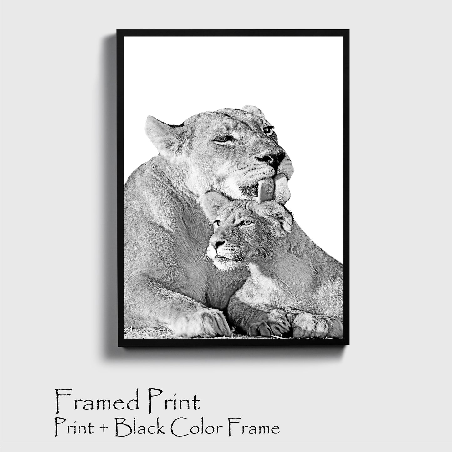 Lioness and lion cub print in black color frame.