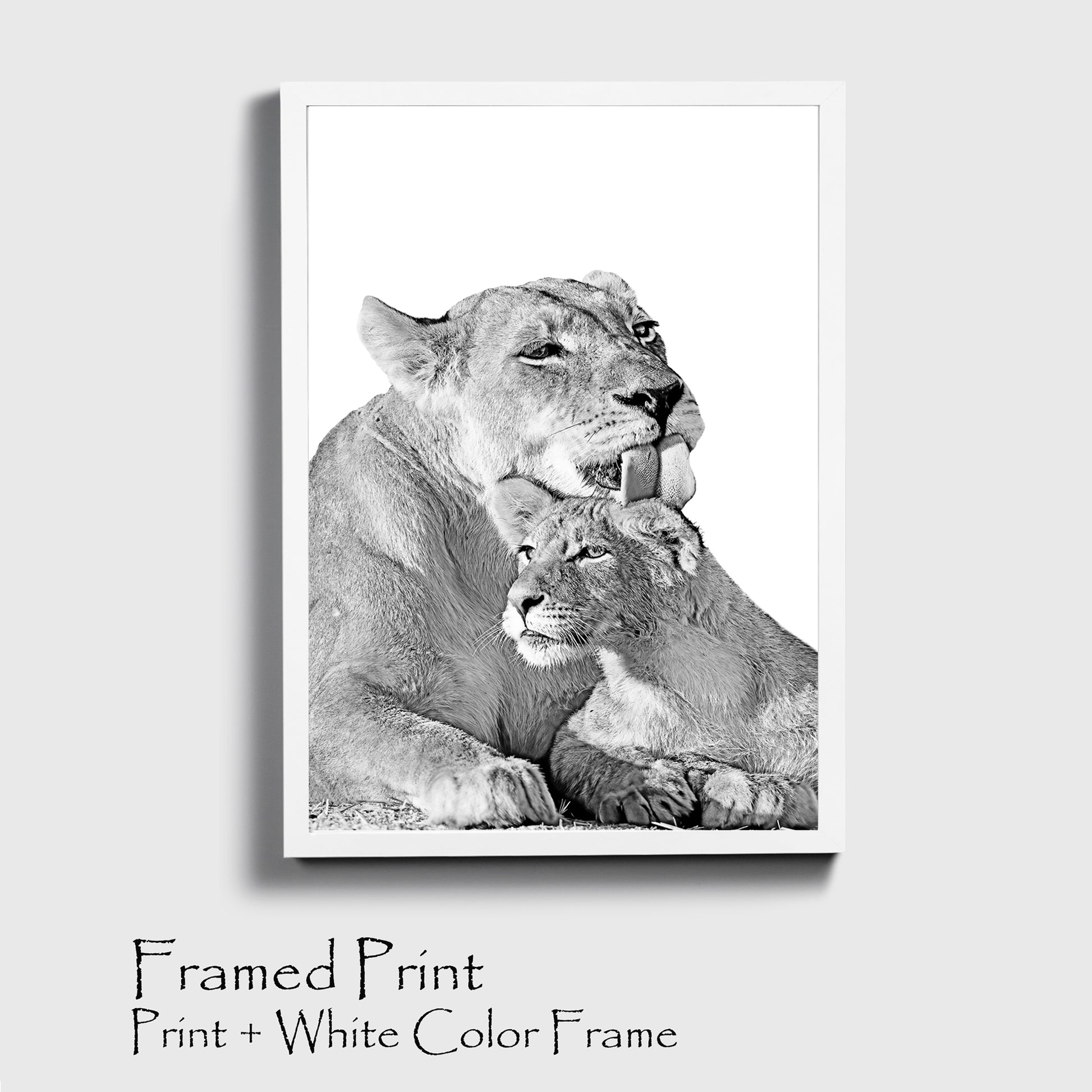 Lioness and lion cub print in white color frame.