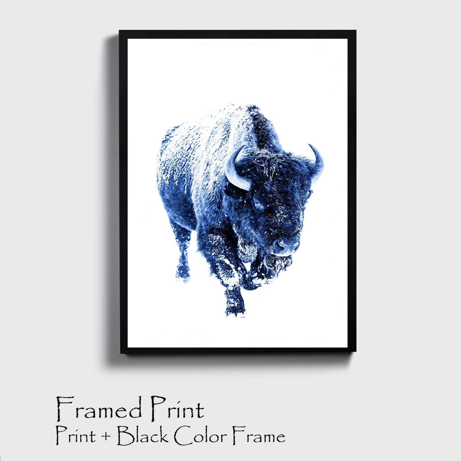 Navy blue bison print in black color frame.