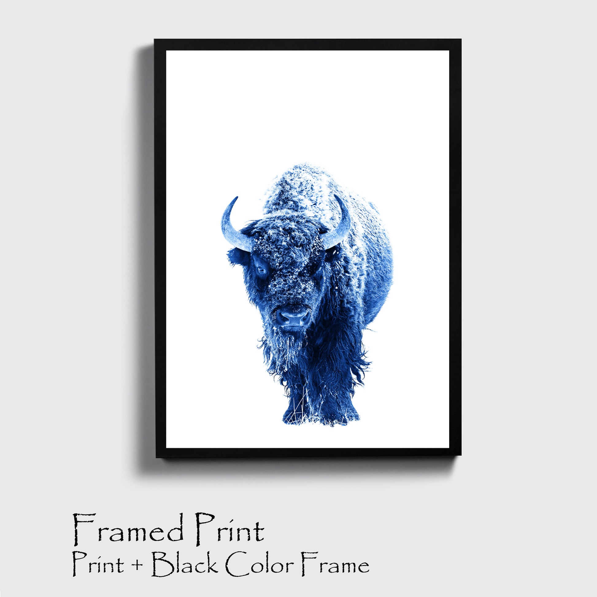 Blue bison poster in black color frame.