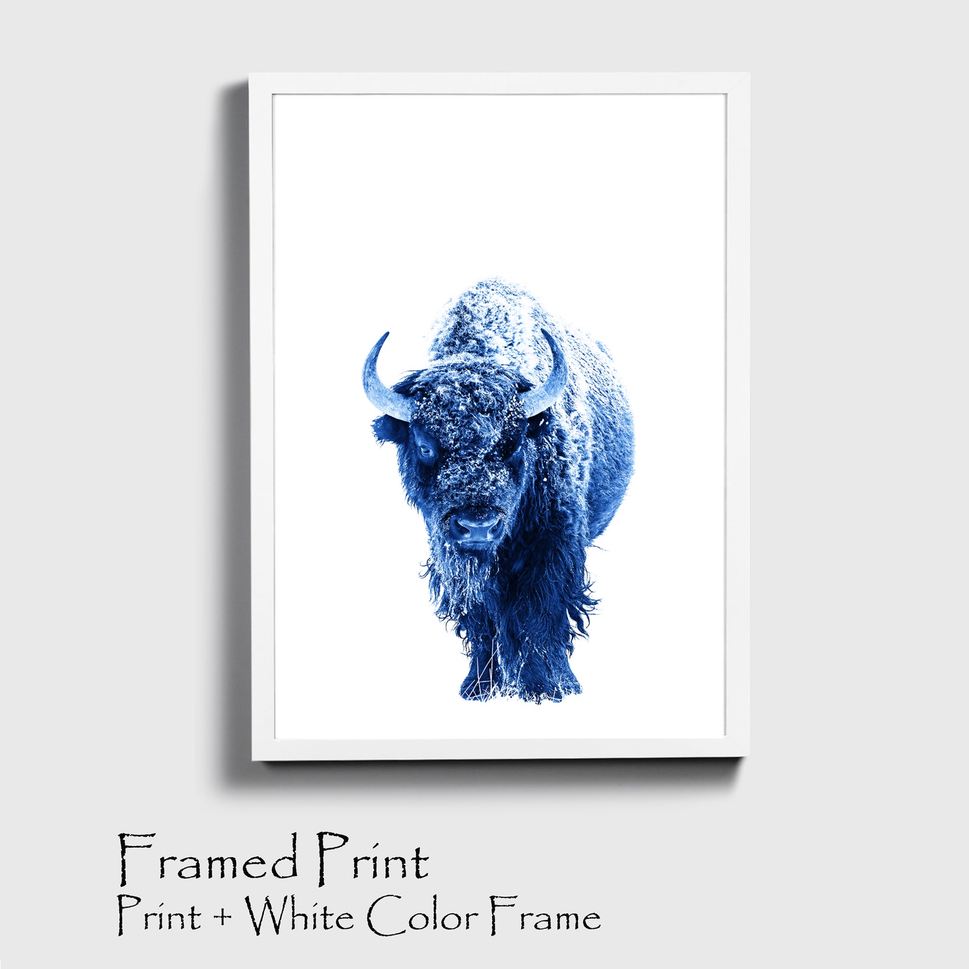 Blue bison poster in white color frame.