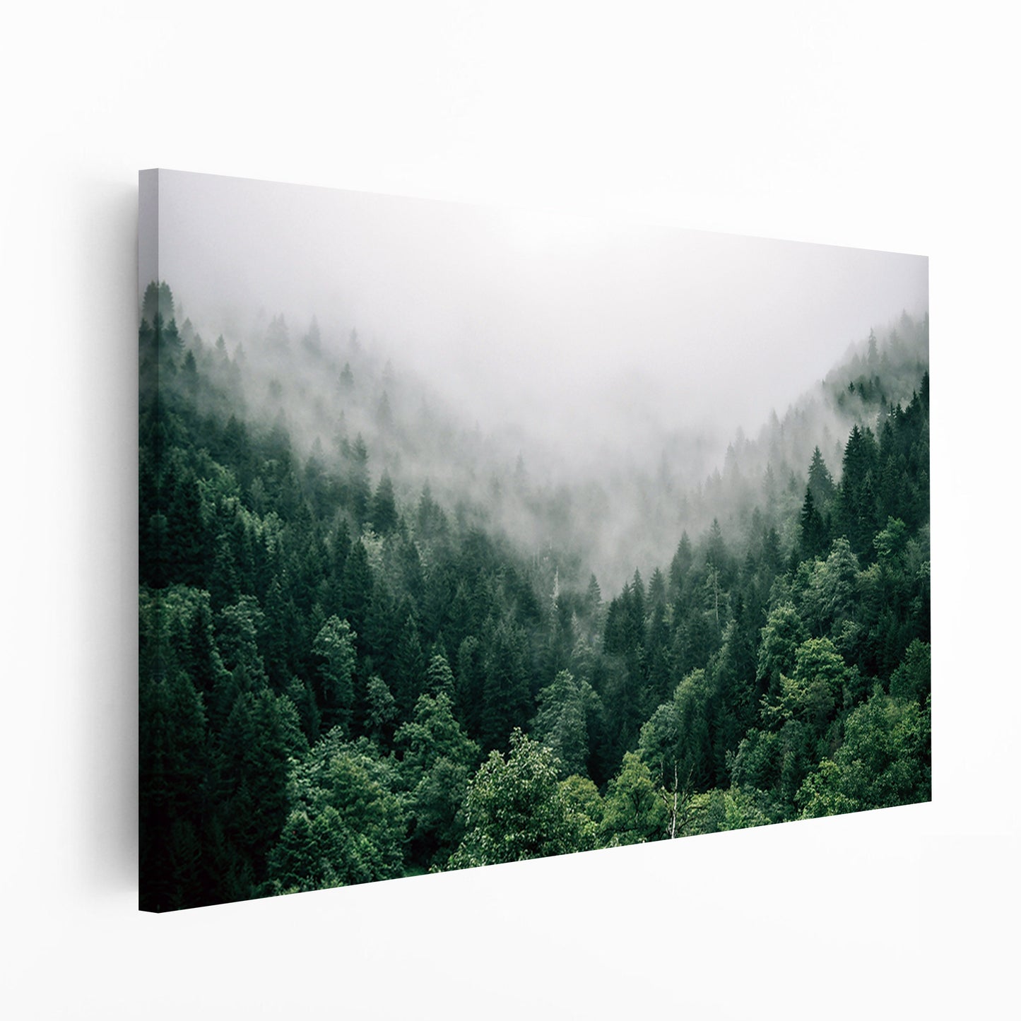 Large canvas with forest panorama.