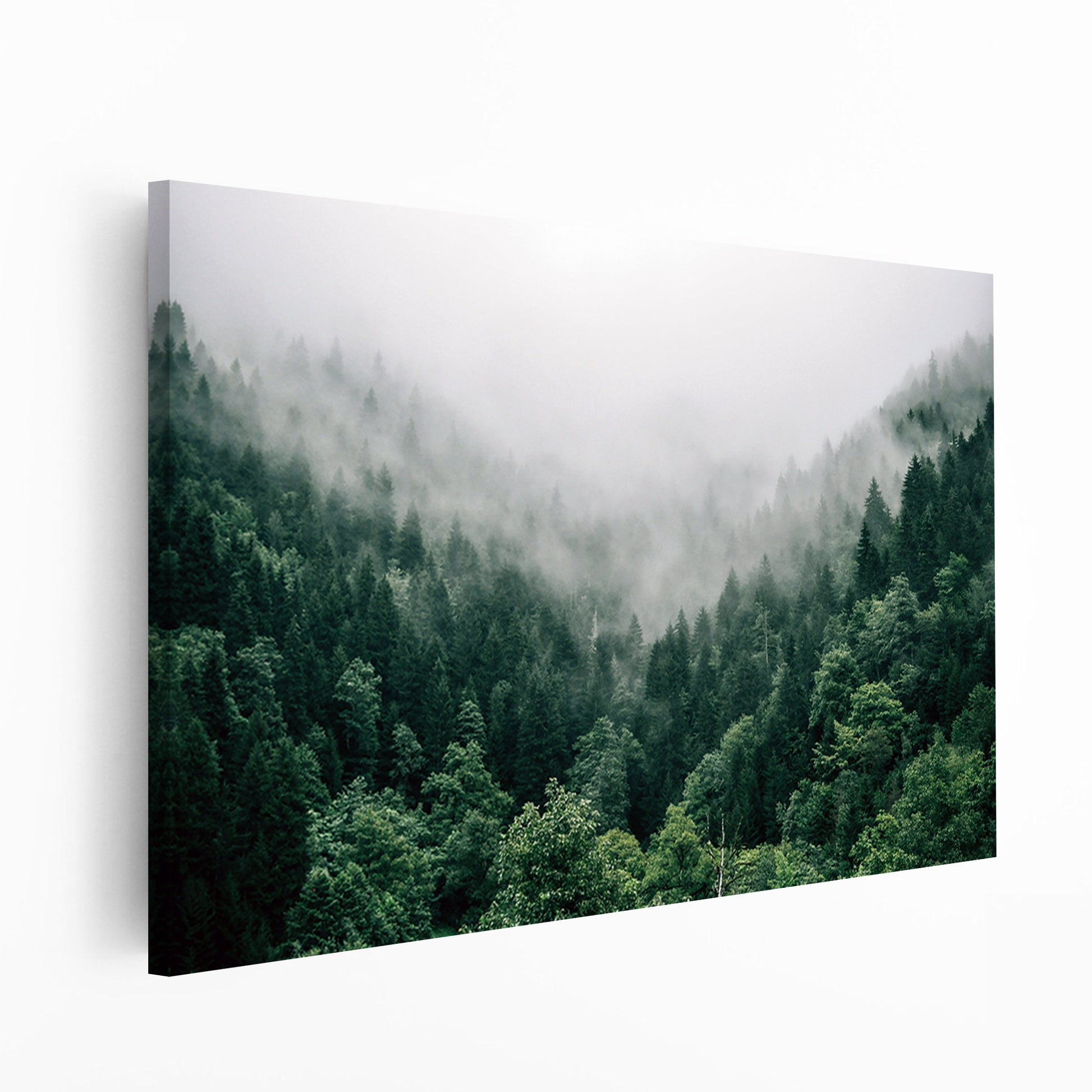 Large canvas with forest panorama.