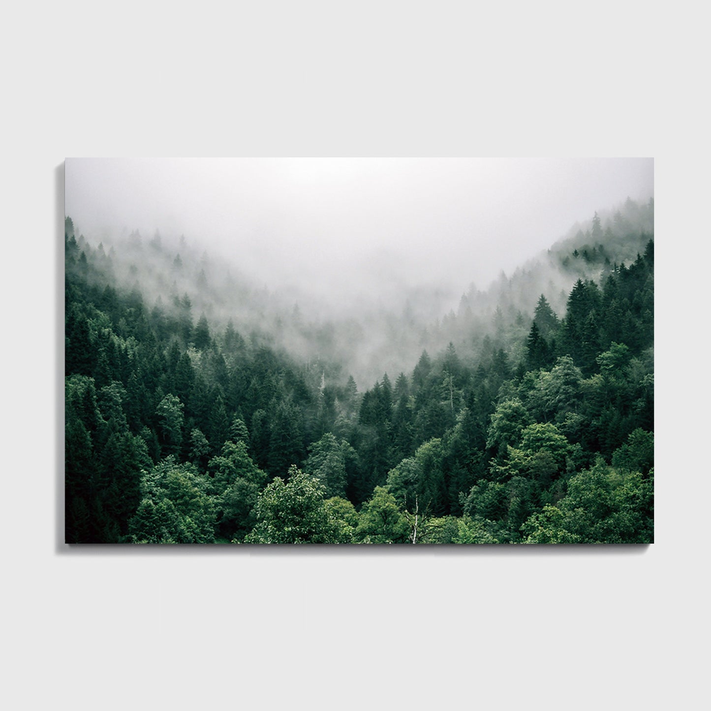 Large canvas with forest panorama.