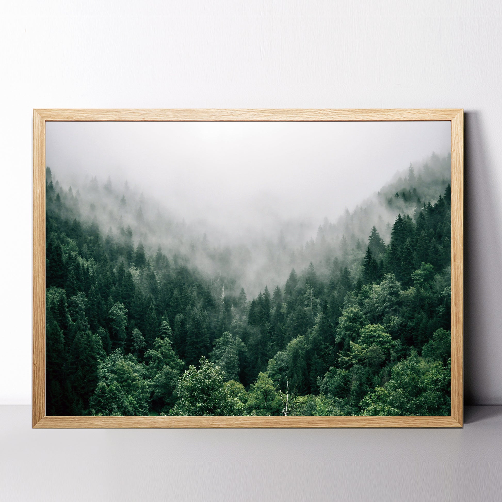 Forest panorama framed print