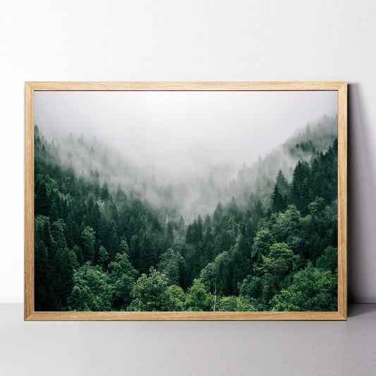 Forest panorama framed print