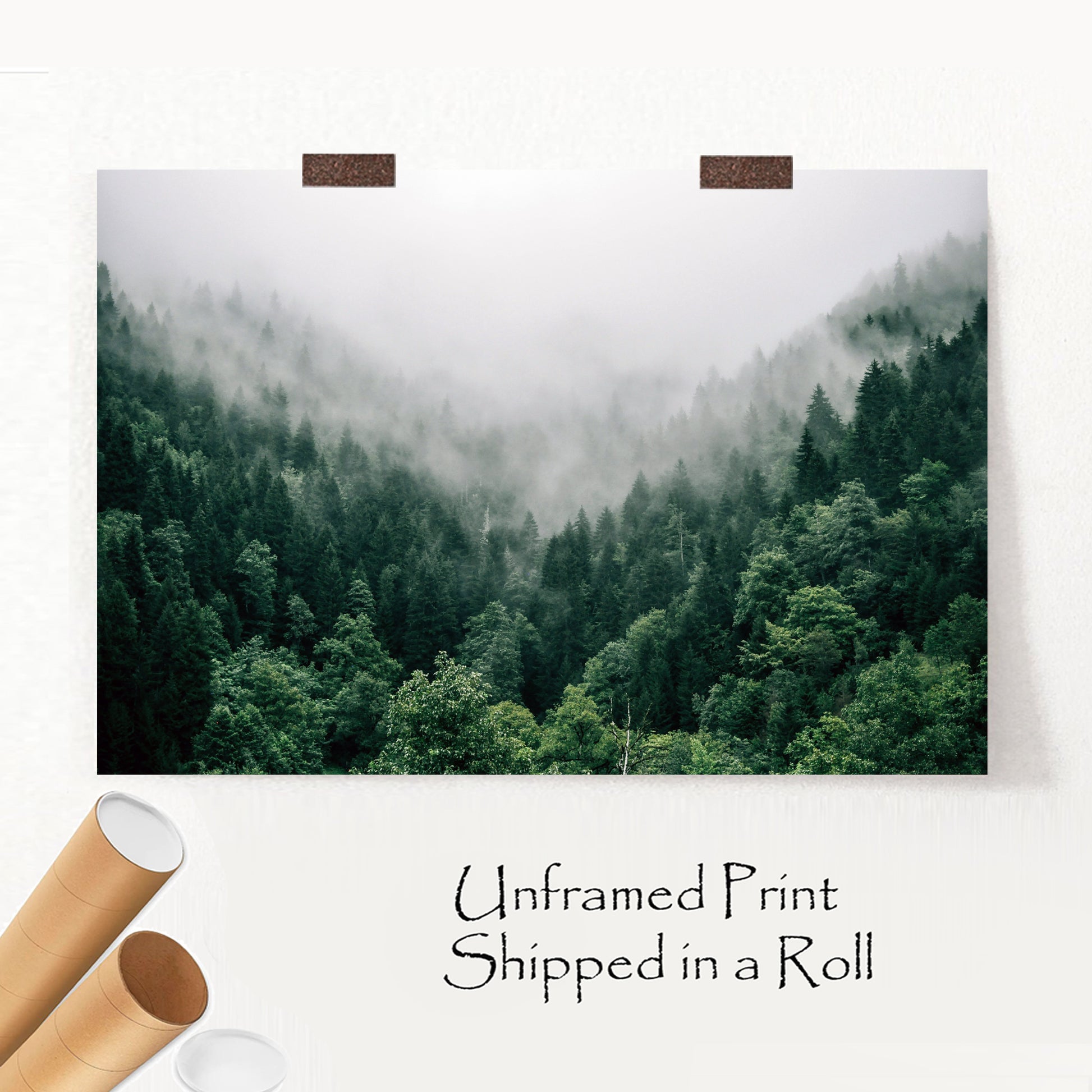 Unframed print with Nordic nature.