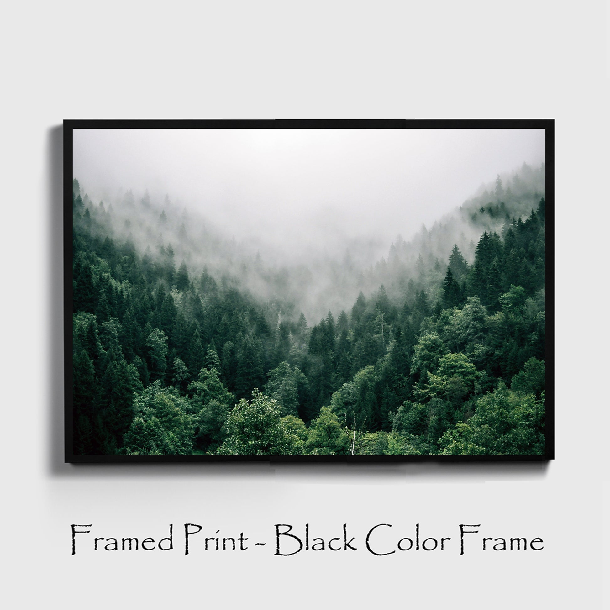 Forest print in black color frame.