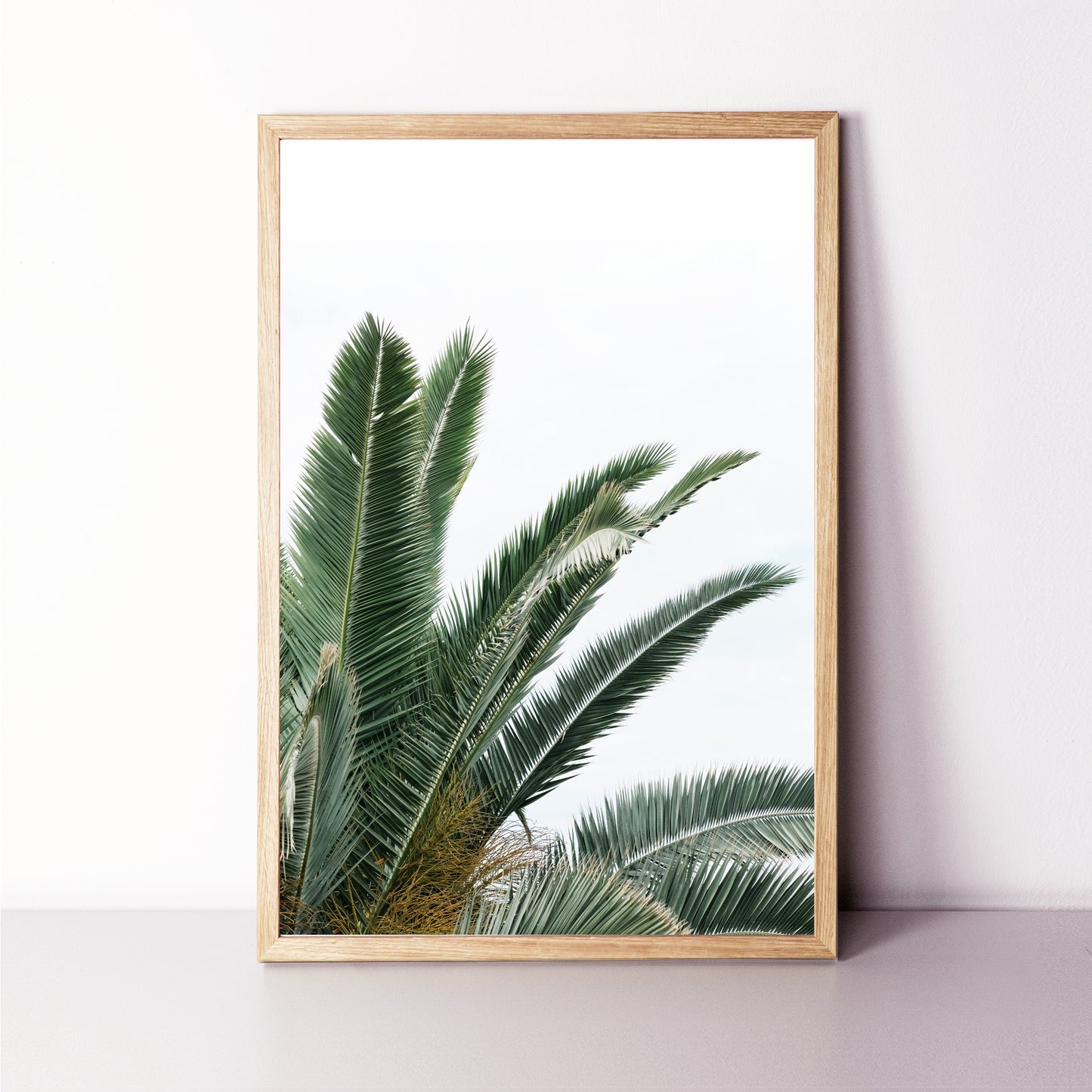 Palm tree leaves poster.