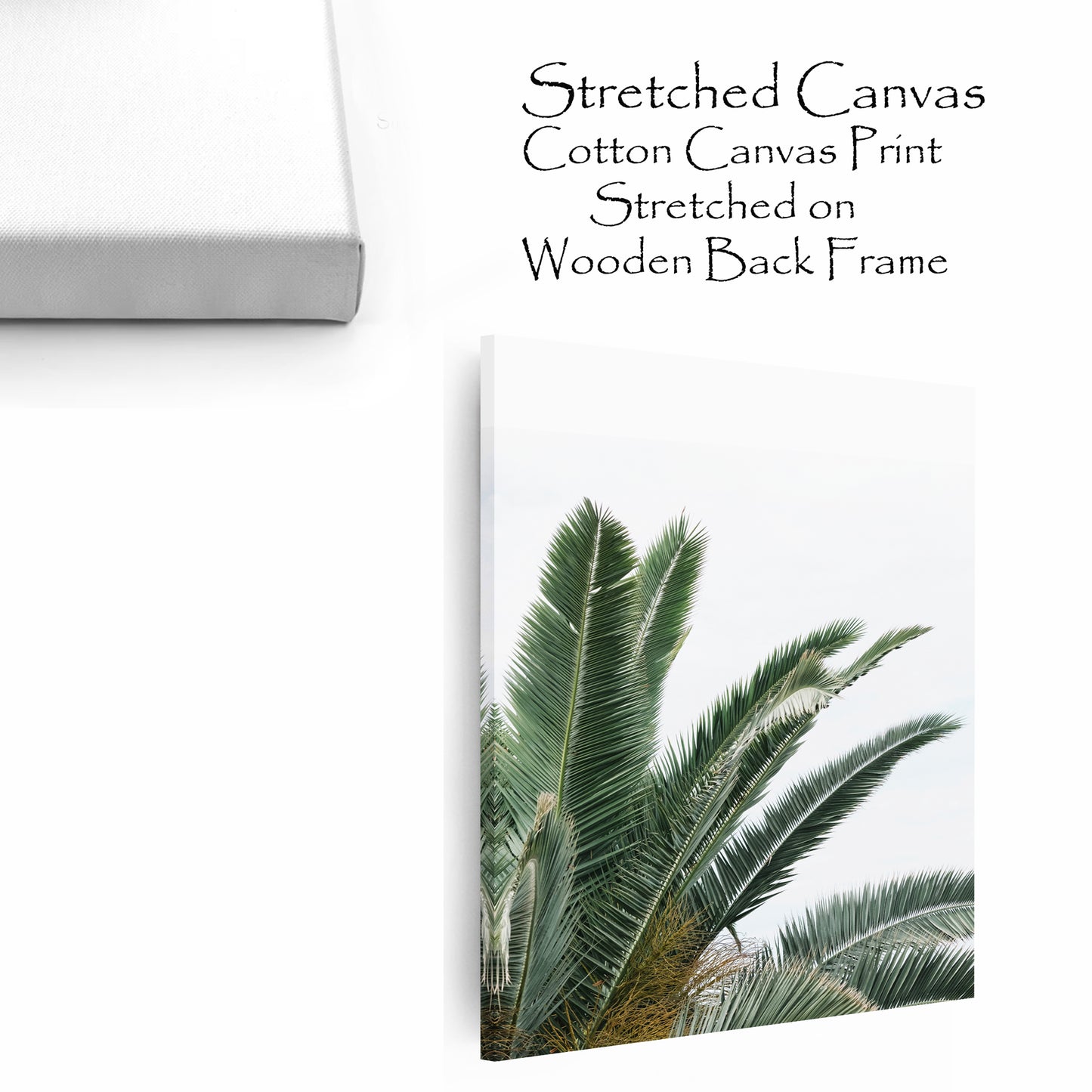 Stretched canvas modern wall decor.