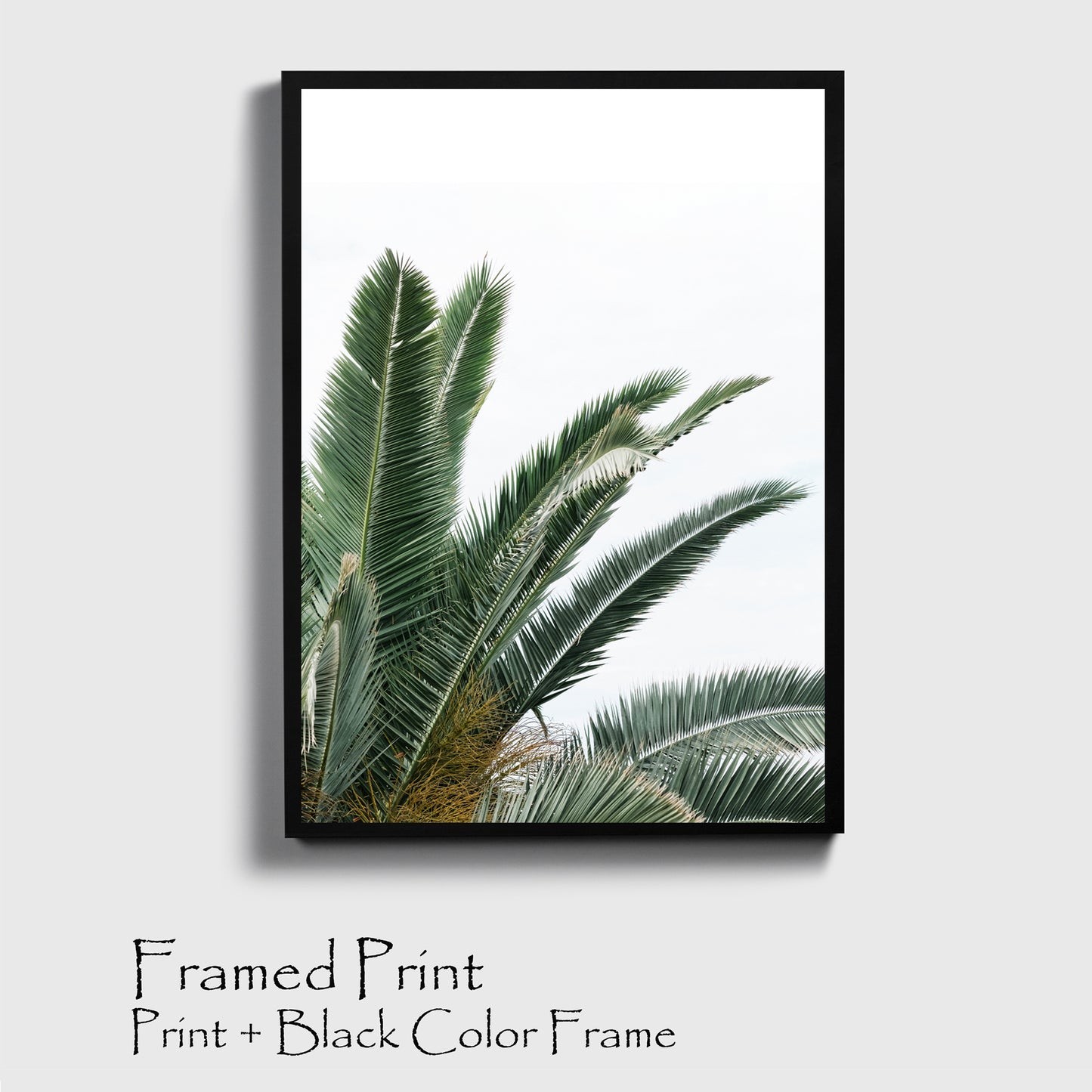 Palm leaves print in black color frame.