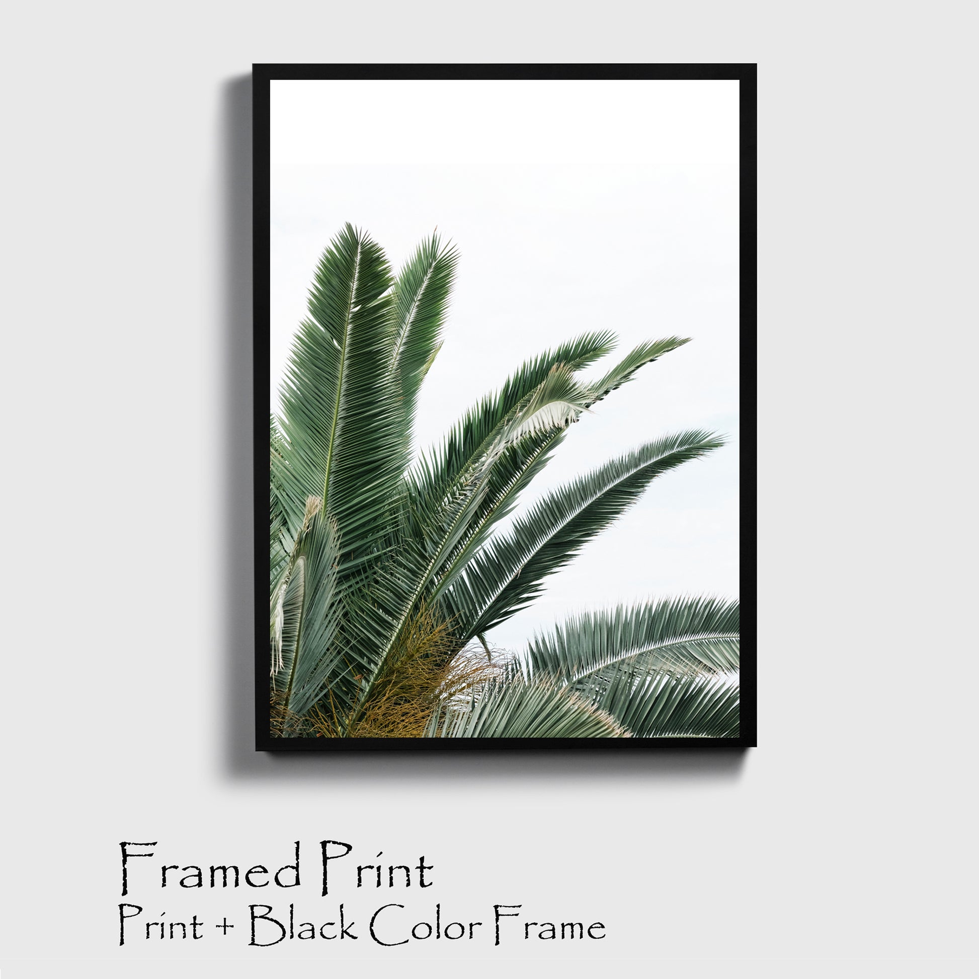 Palm leaves print in black color frame.