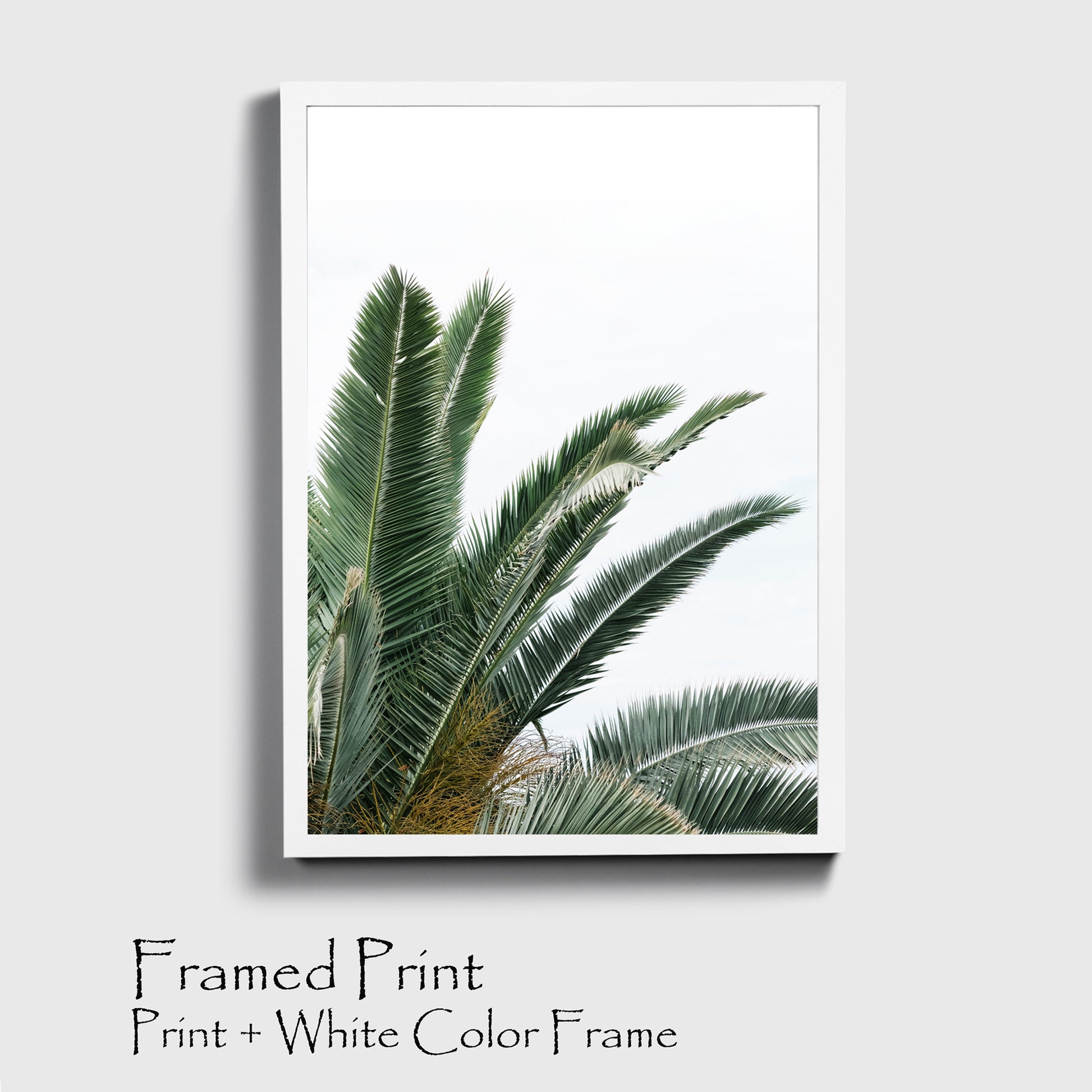 Palm leaves print in white color frame.