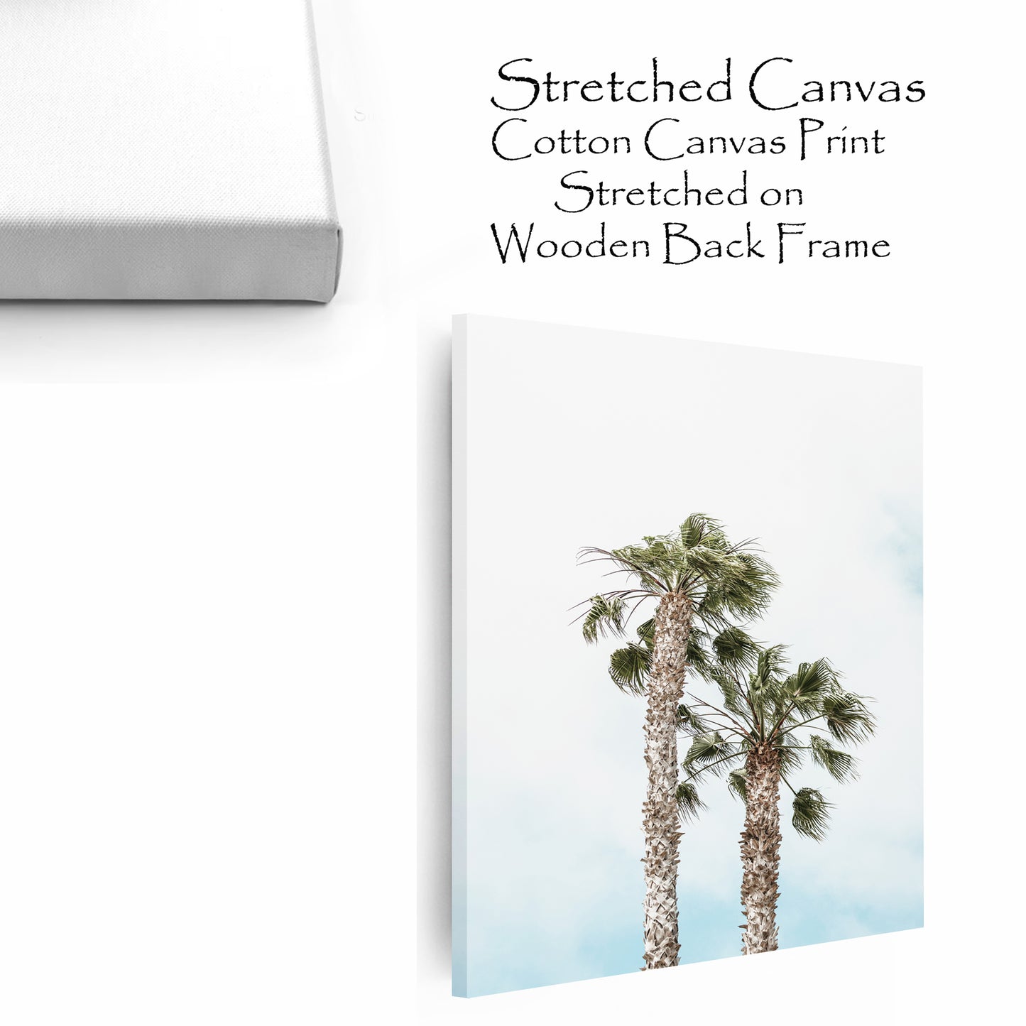Stretched canvas with palm trees.