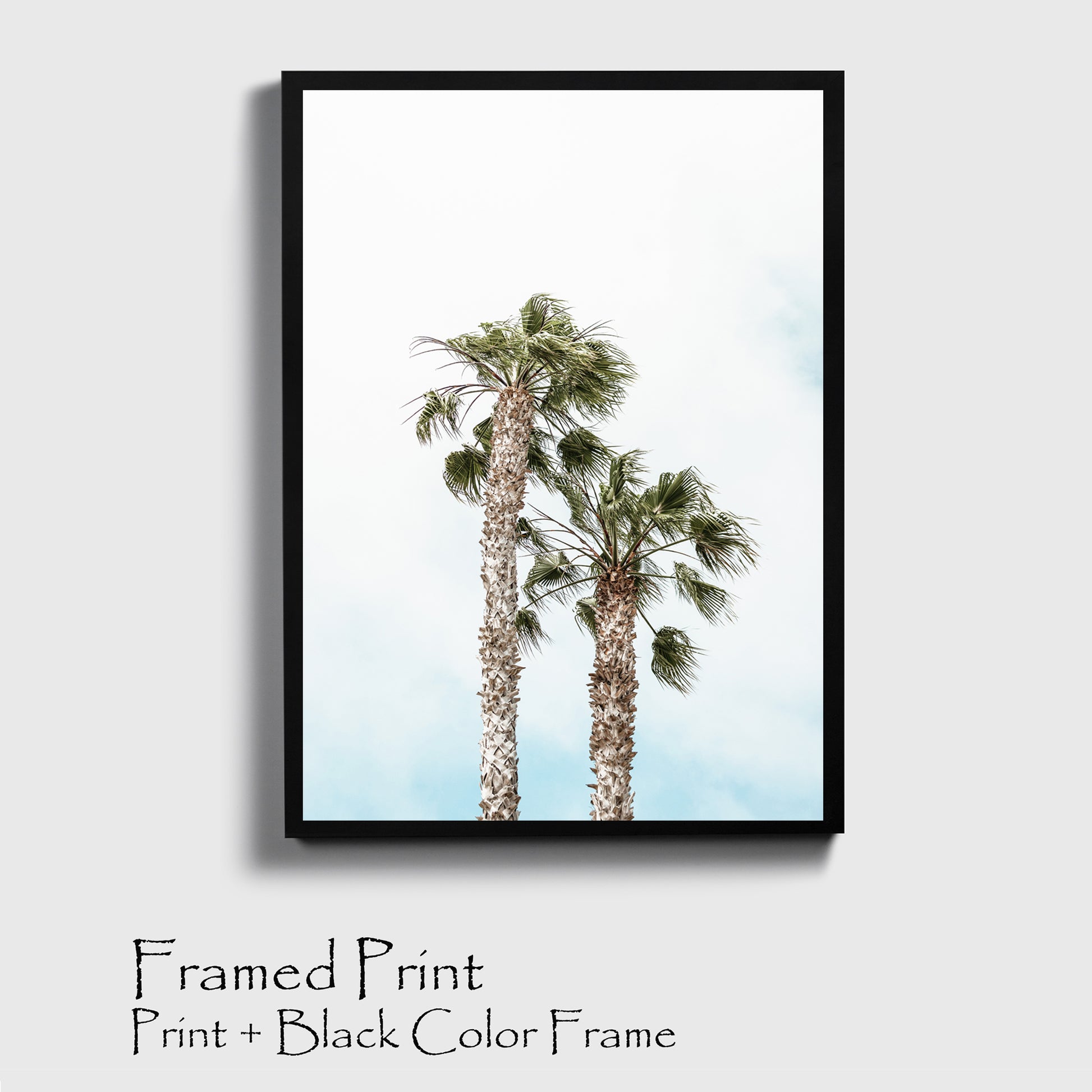 Pam trees photo in black color frame.