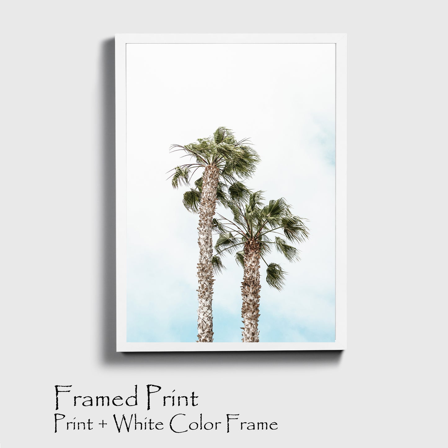 Pam trees photo in white color frame.