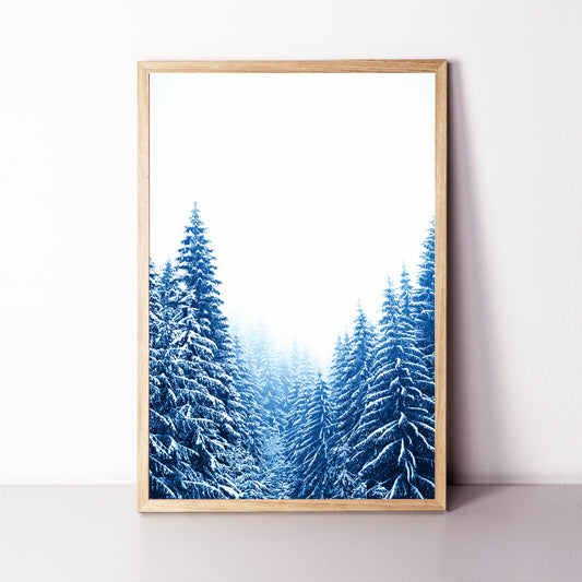 Blue Pine Tree Forest with Snow Large Print or Canvas | Christmas Forest Wall Art