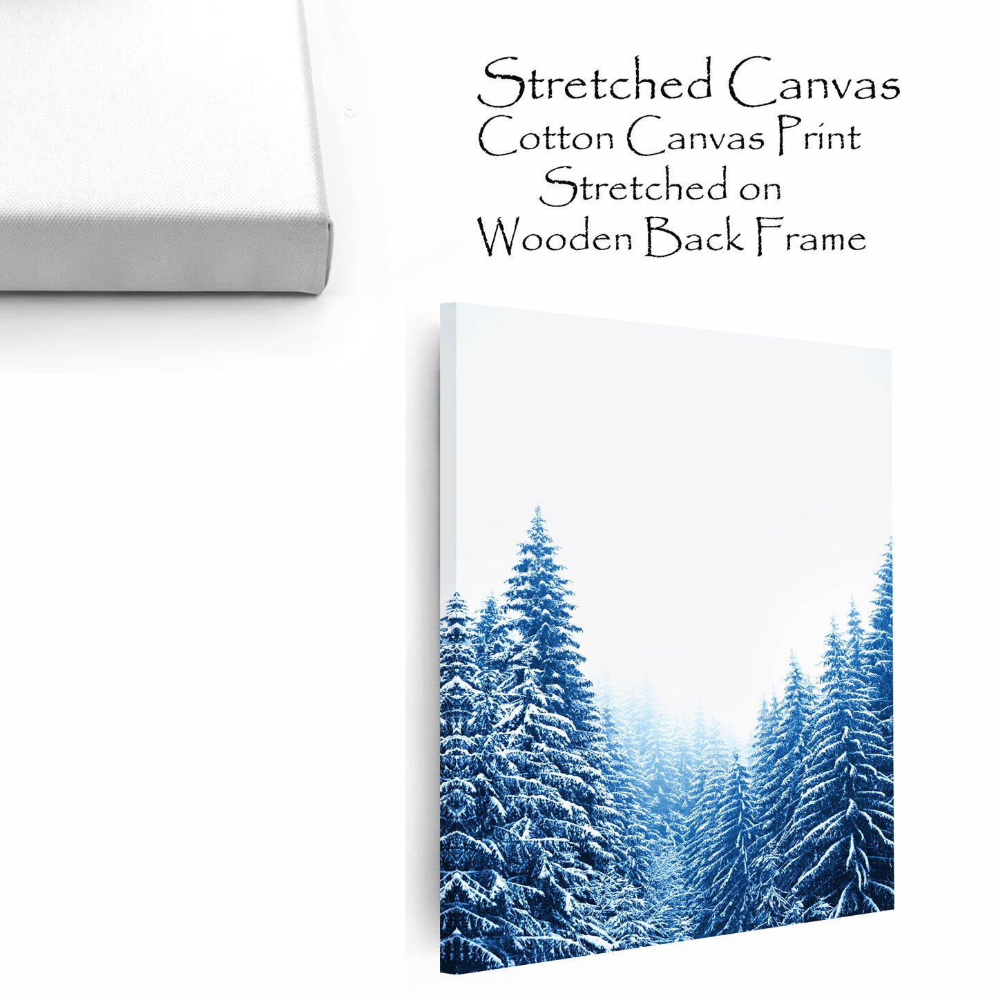 Blue Pine Tree Forest with Snow Large Print or Canvas | Christmas Forest Wall Art