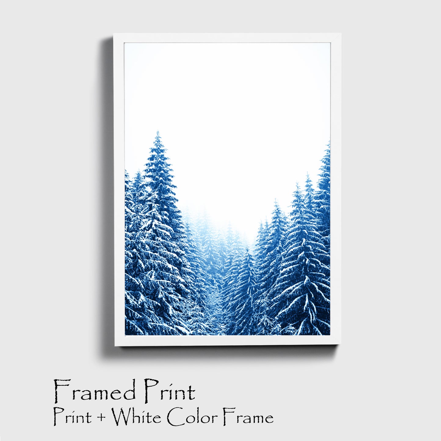 Blue Pine Tree Forest with Snow Large Print or Canvas | Christmas Forest Wall Art