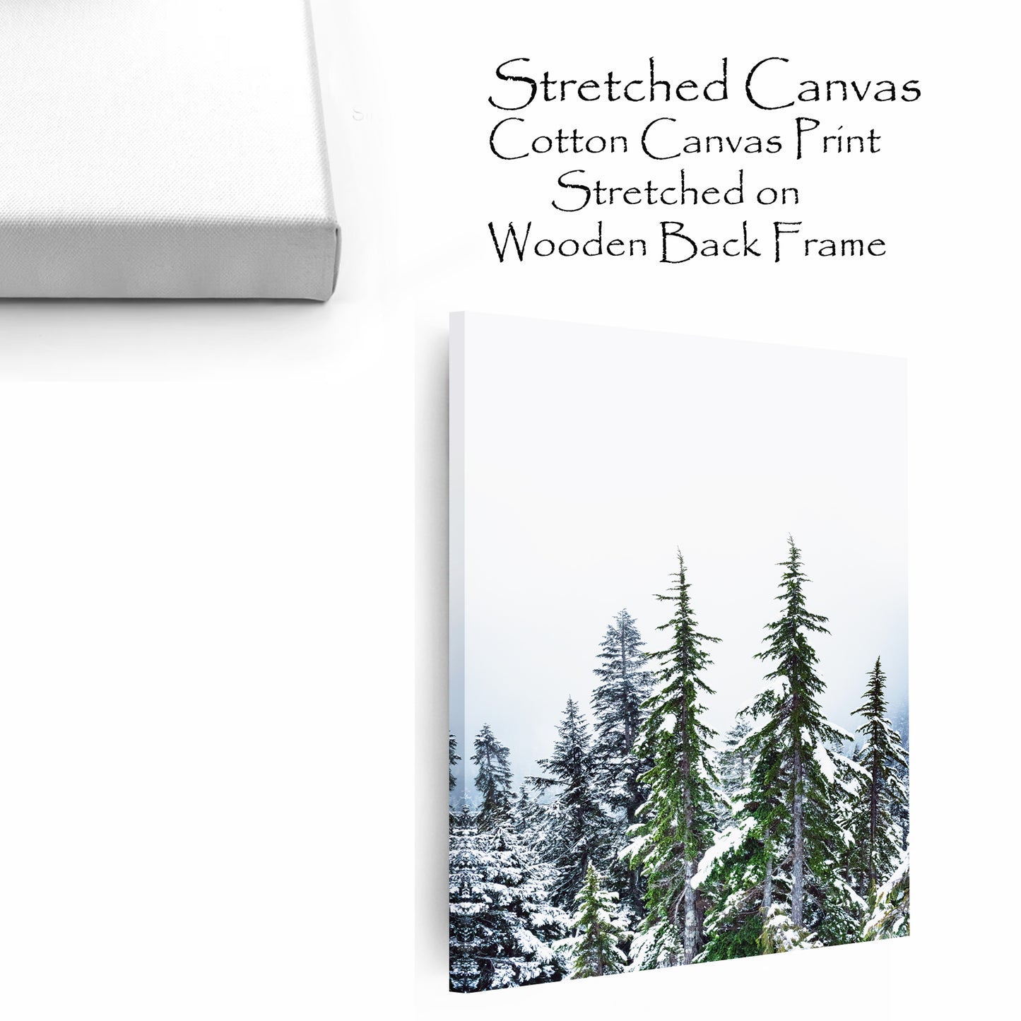 Winter Forest Wall Art | Green Pine Tree Forest with Snow Large Print or Canvas