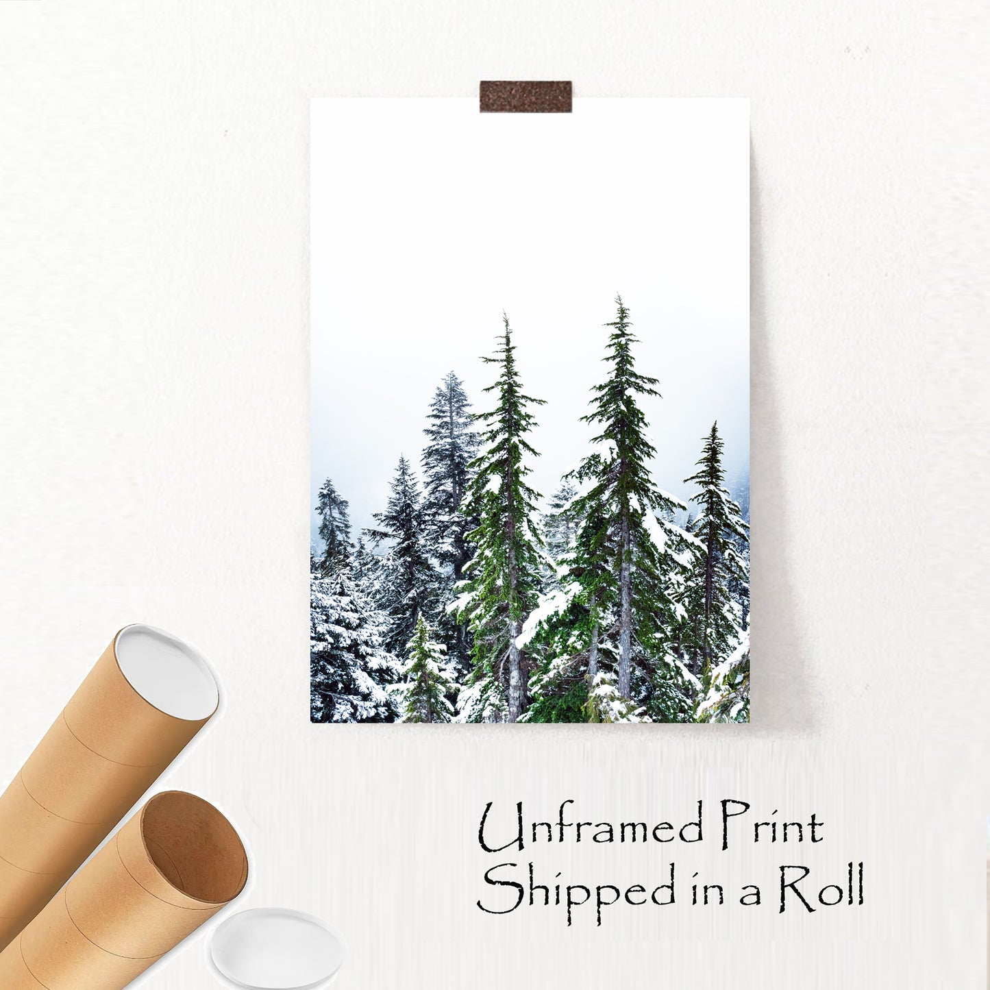 Winter Forest Wall Art | Green Pine Tree Forest with Snow Large Print or Canvas