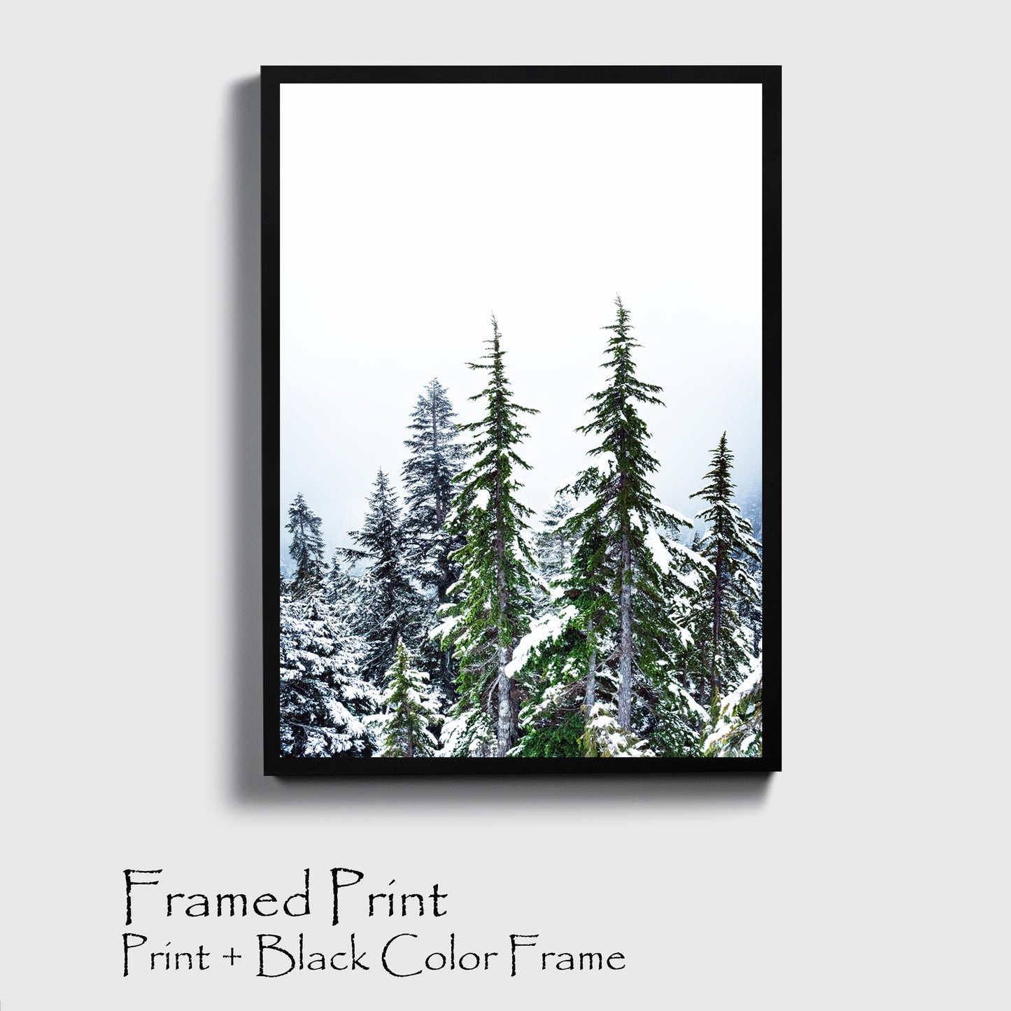 Winter Forest Wall Art | Green Pine Tree Forest with Snow Large Print or Canvas