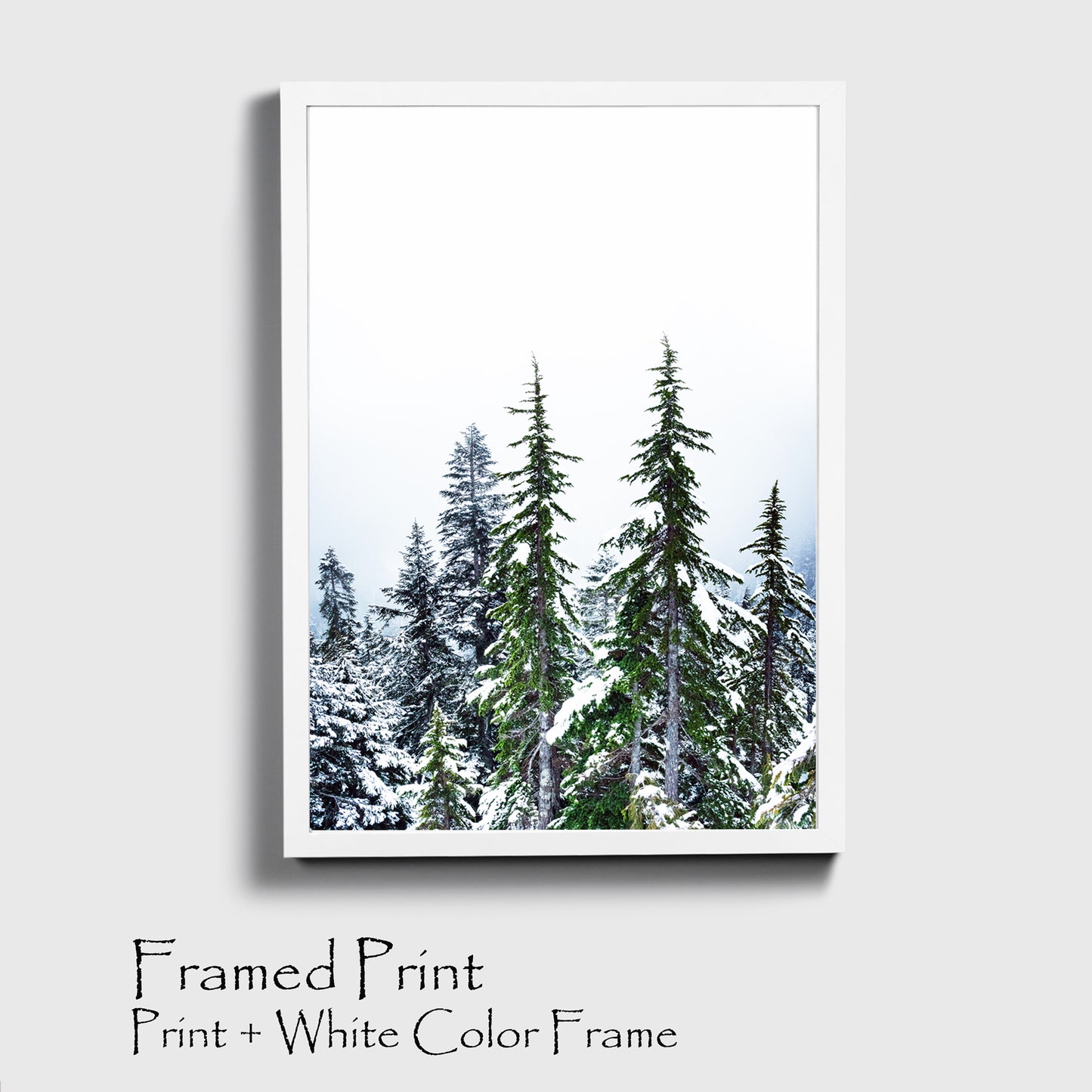Winter Forest Wall Art | Green Pine Tree Forest with Snow Large Print or Canvas