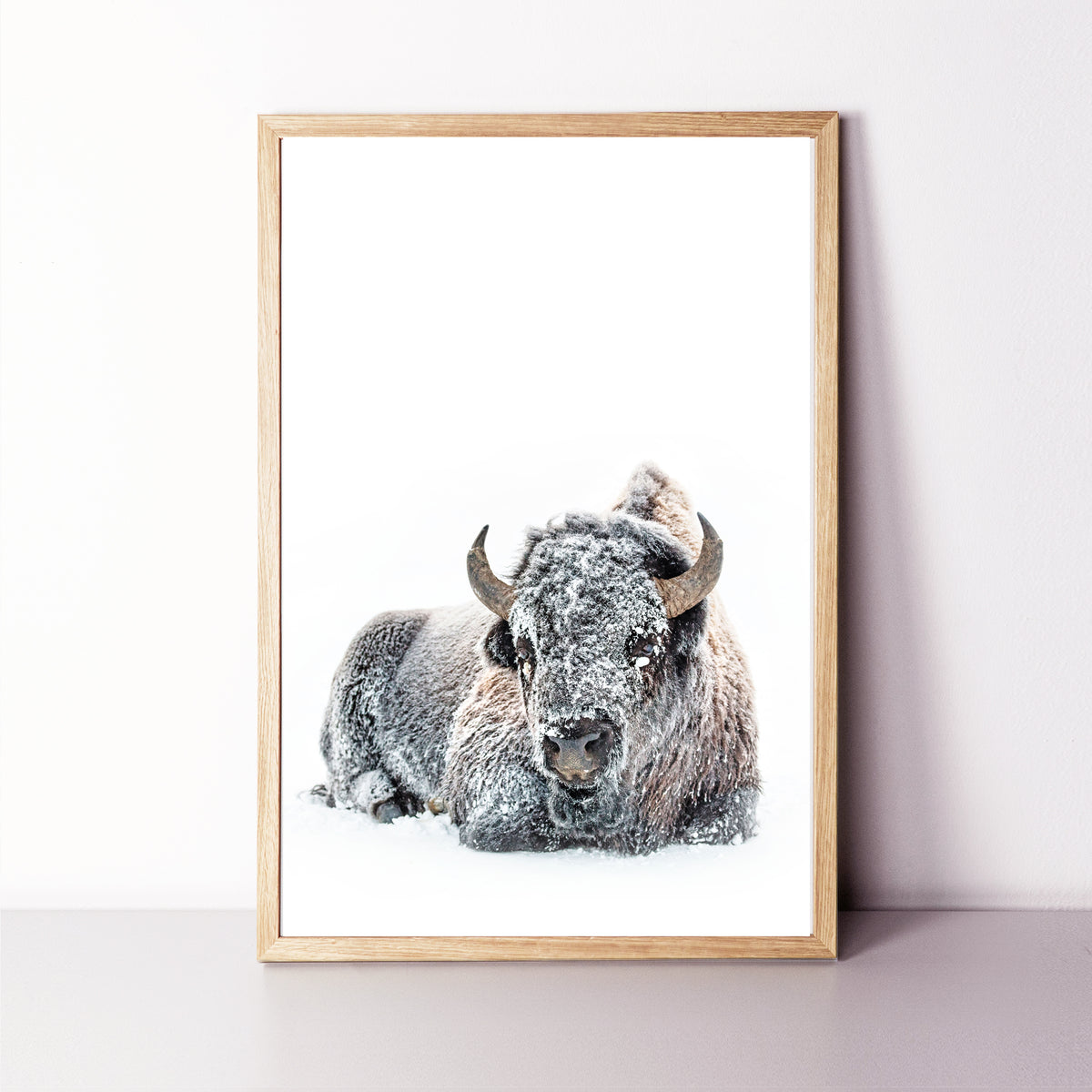 Bison framed wall art.