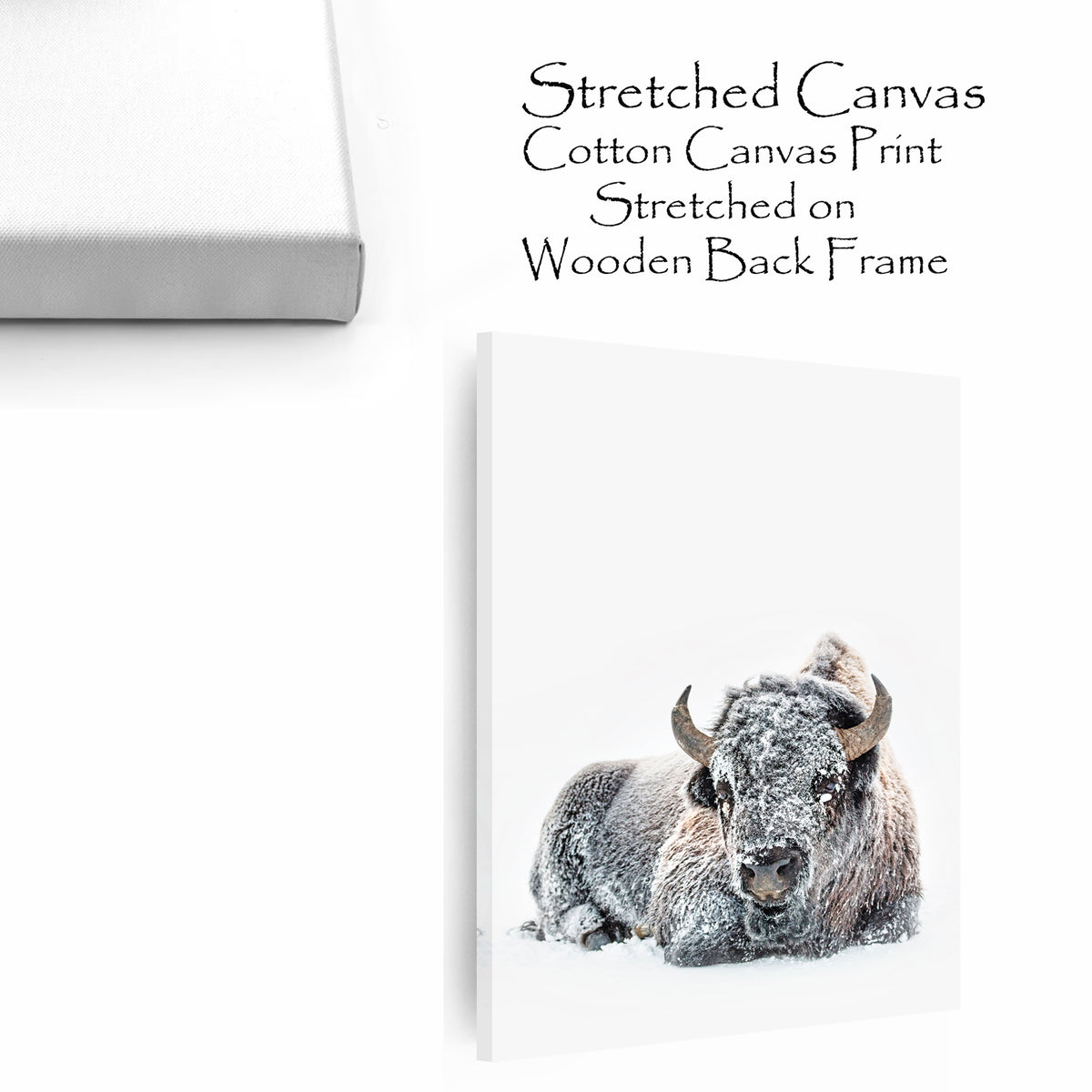 Stretched canvas with lying bison.