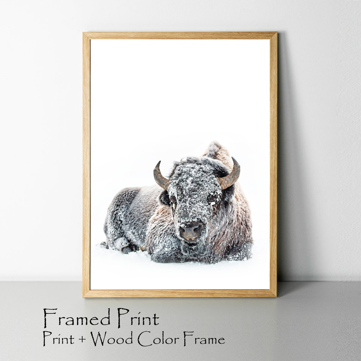 Bison framed poster.