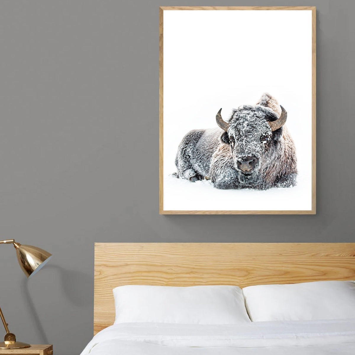 Lying bison photo.