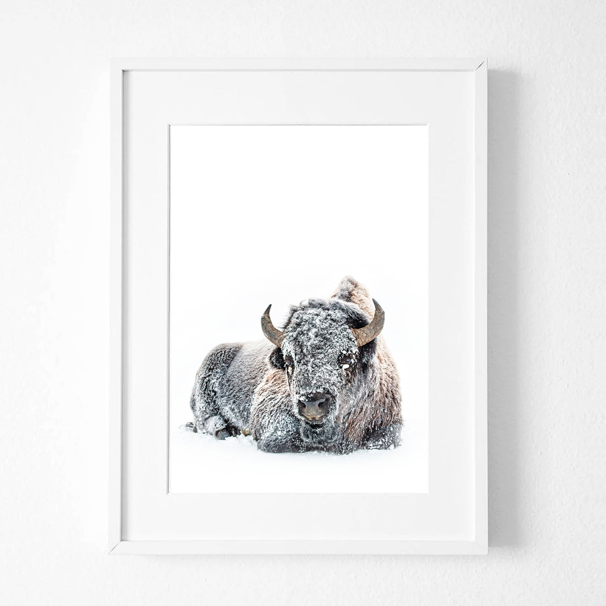 Bison christmas wall decor.