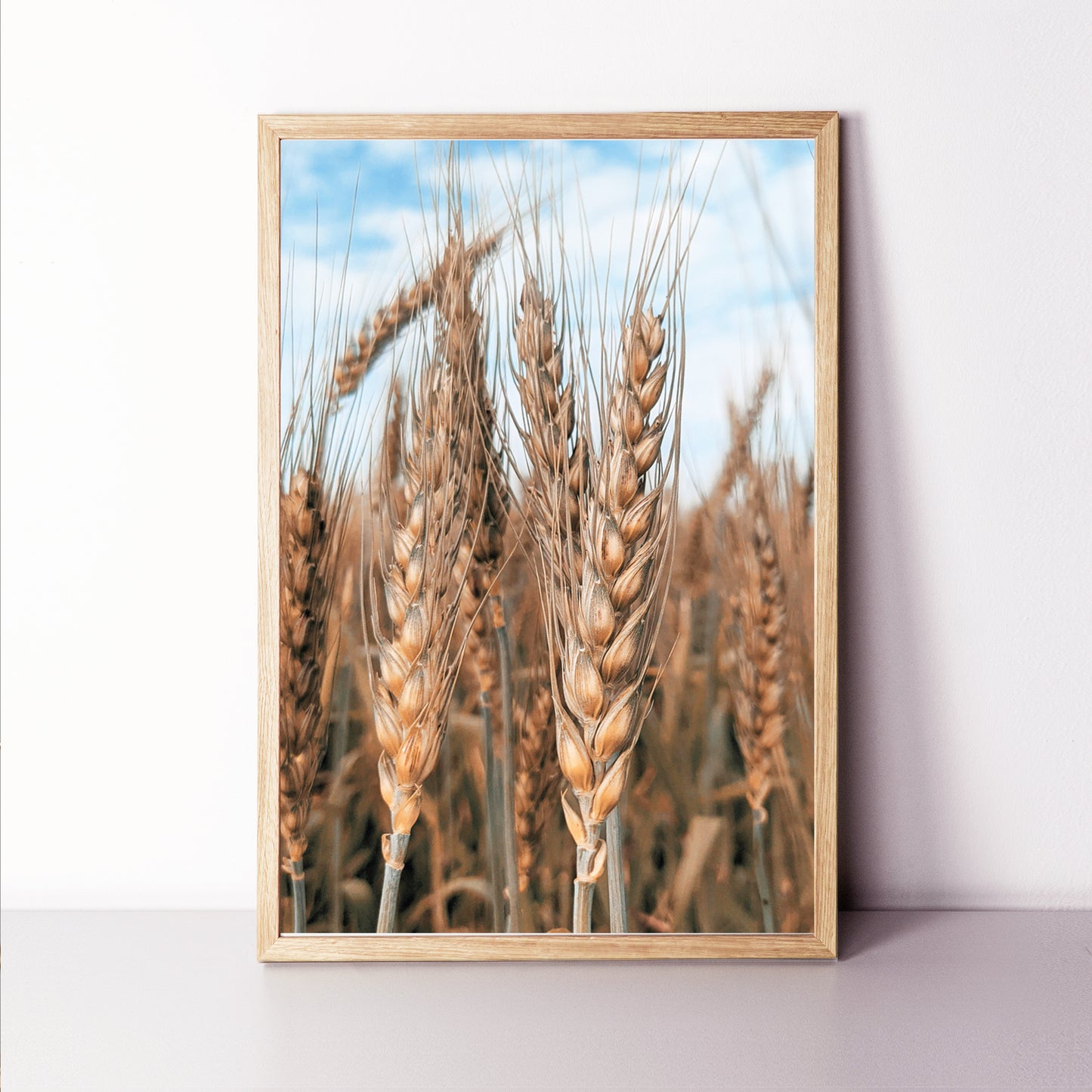 Ripe ears of wheat print.