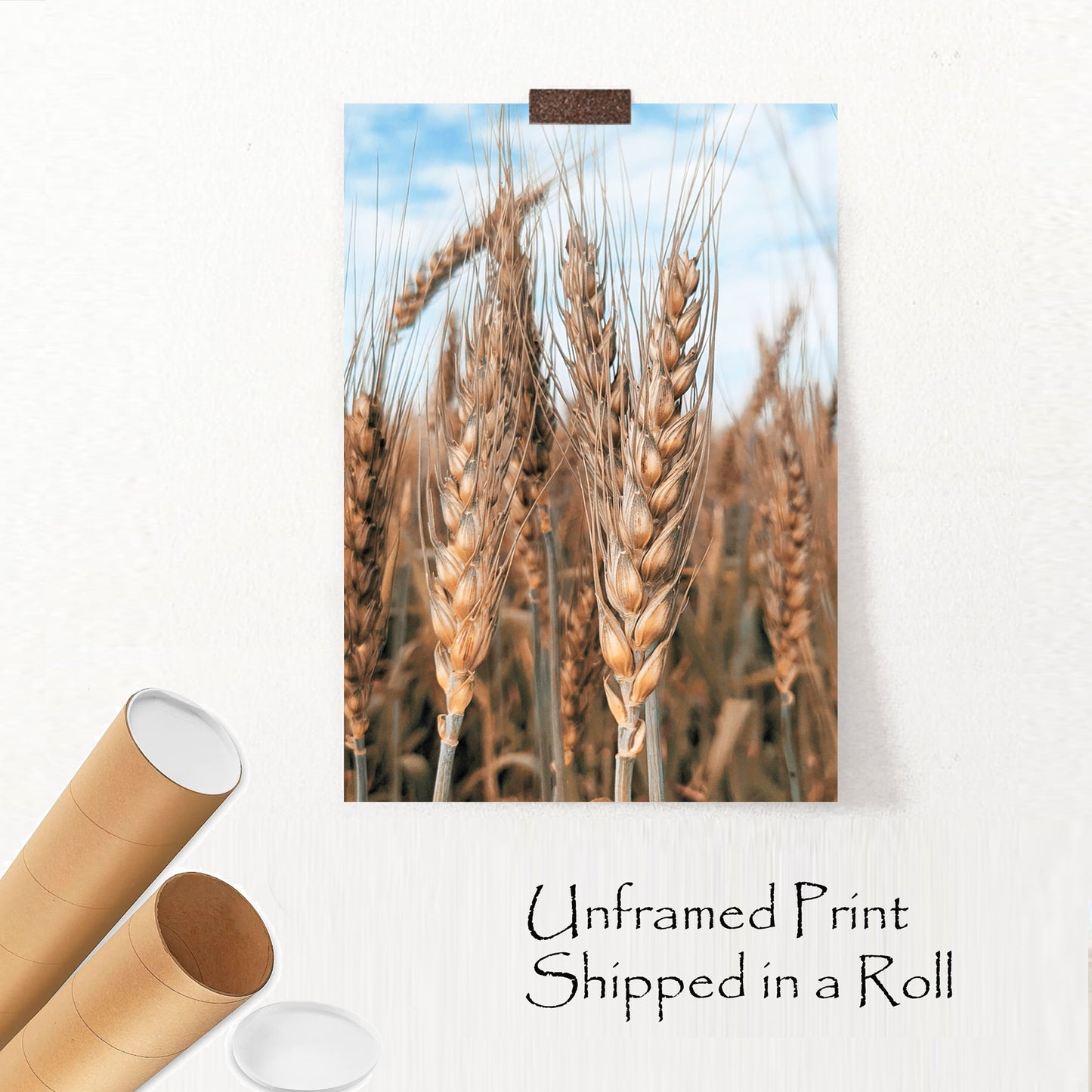 Wheat ears unframed print.