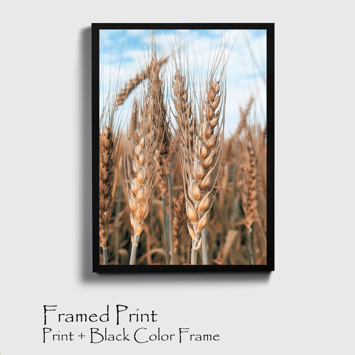 Wheat ears print in black color frame.