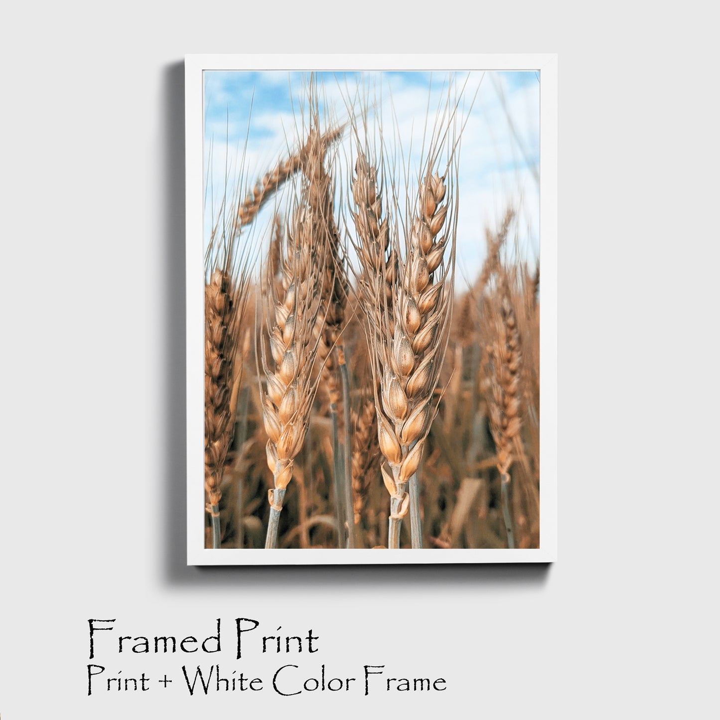 Wheat ears print in black color frame.