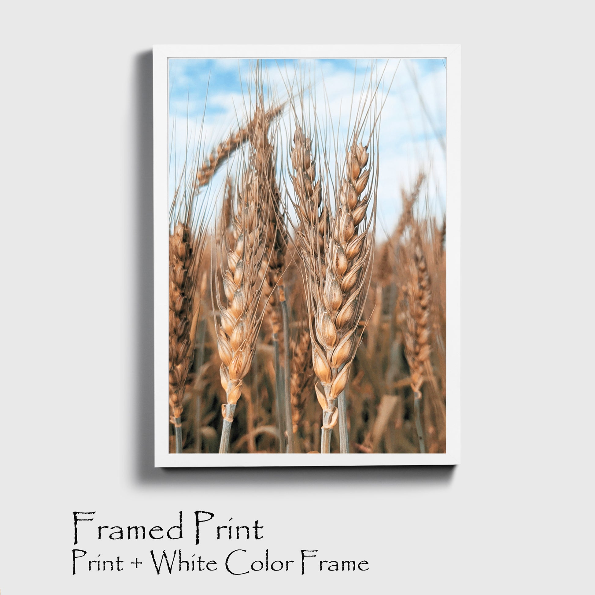 Wheat ears print in black color frame.