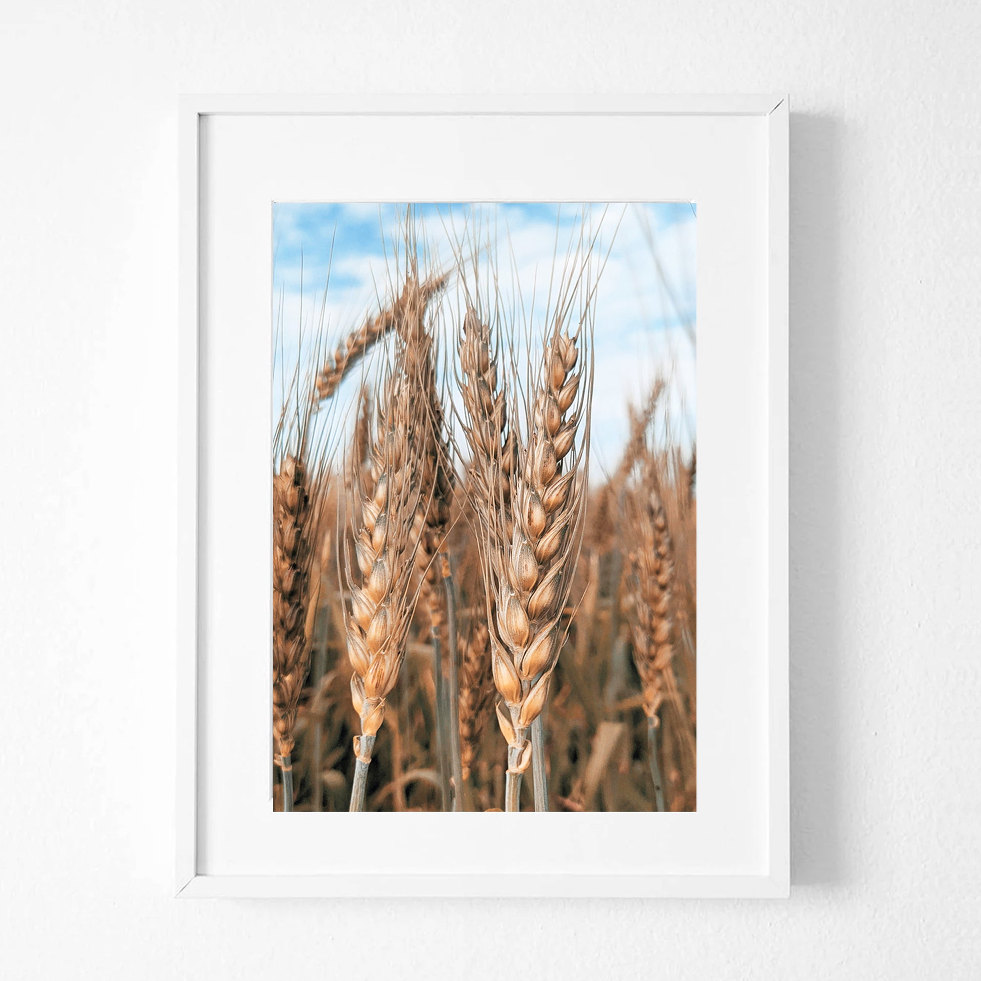 Beautiful farmhouse wall decor.