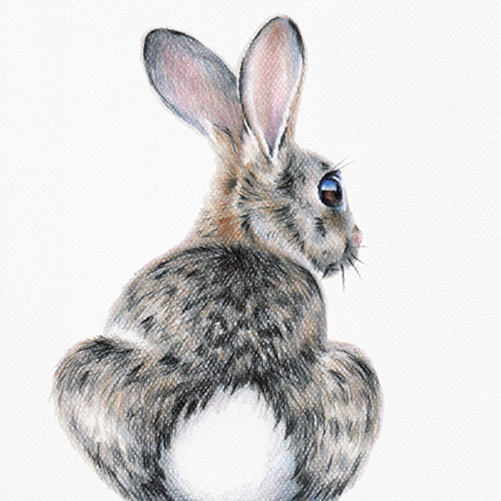 Bunny drawing print enlarged.