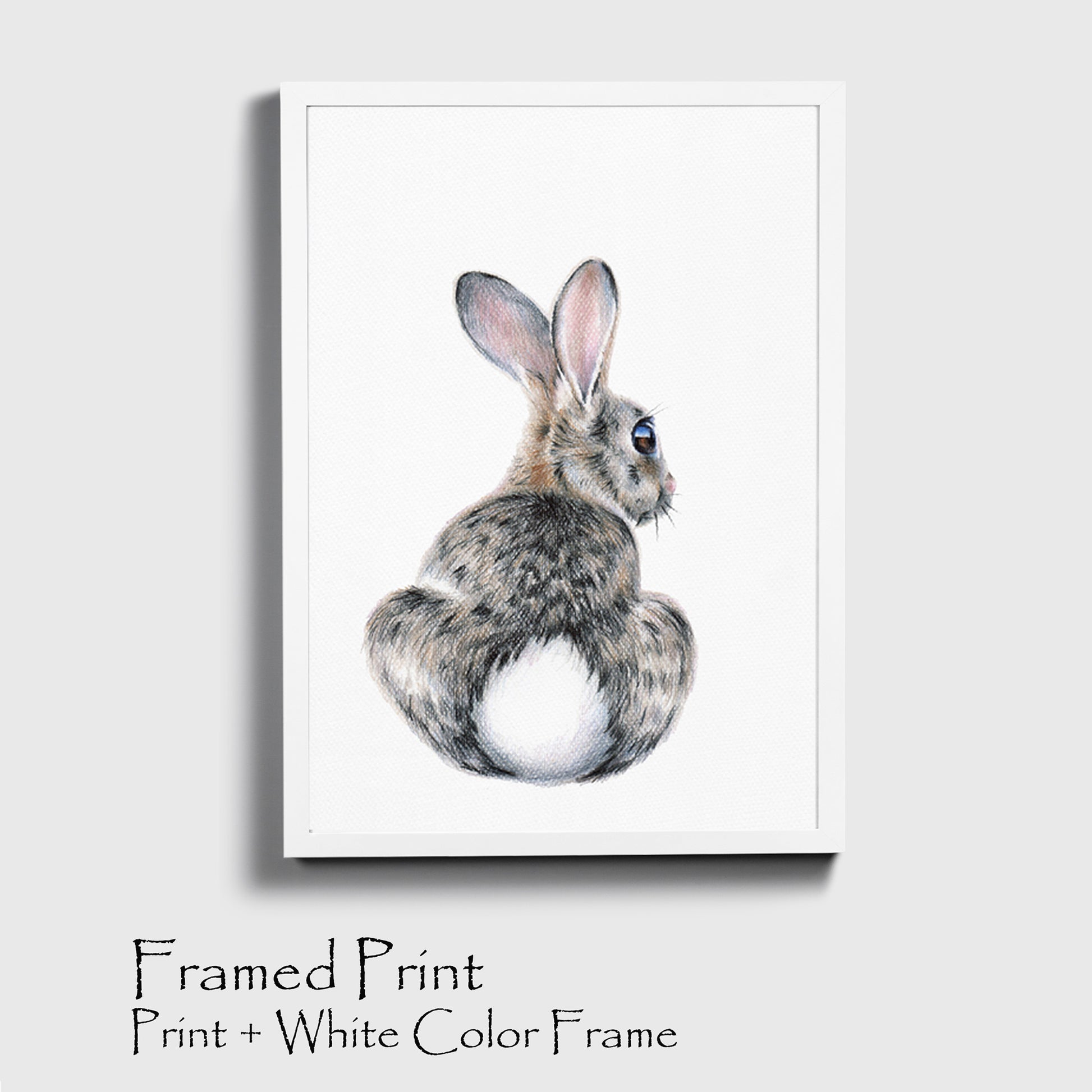 Bunny drawing print in white color frame.